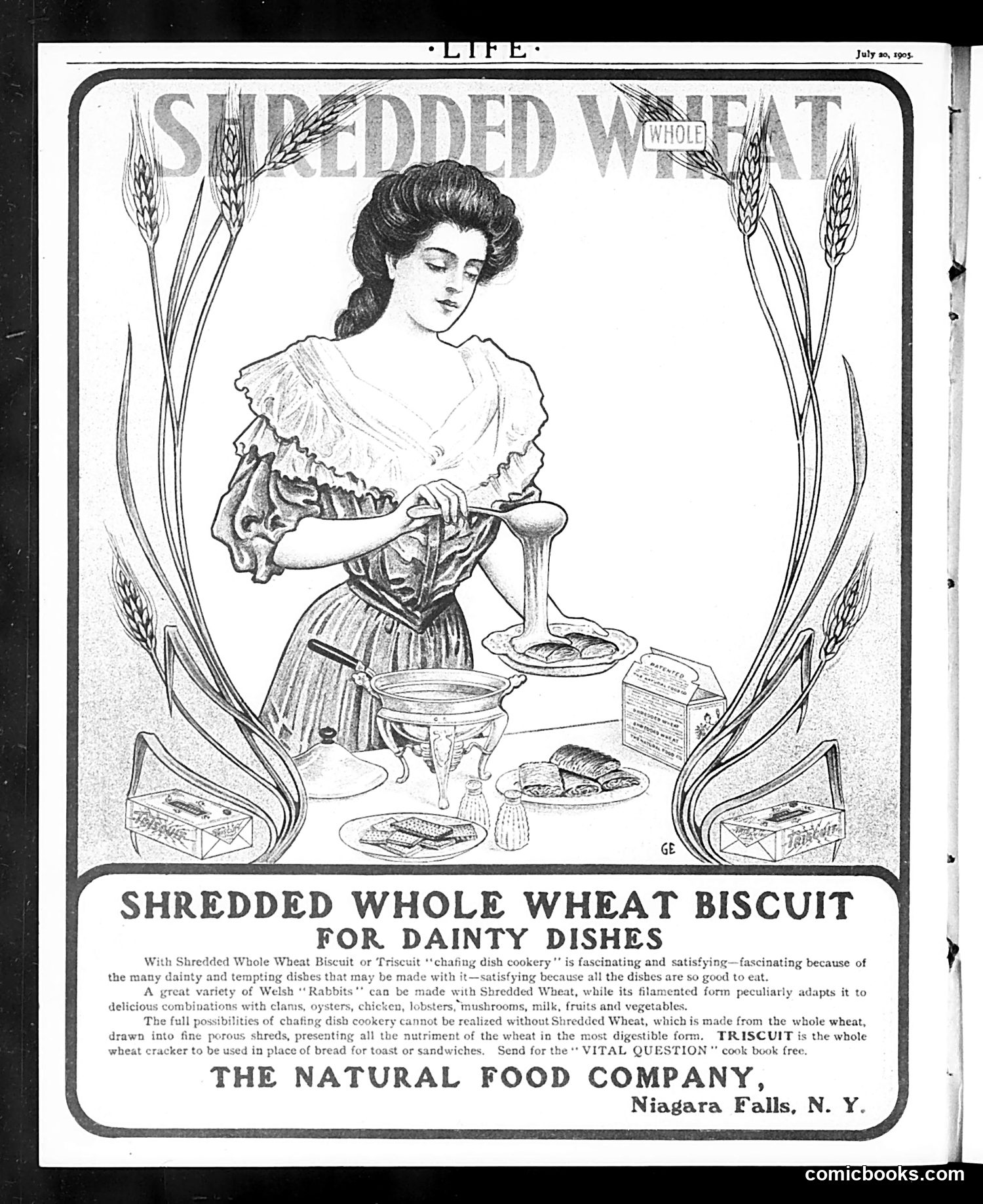 Life — July 20, 1905 — page 28 of 28