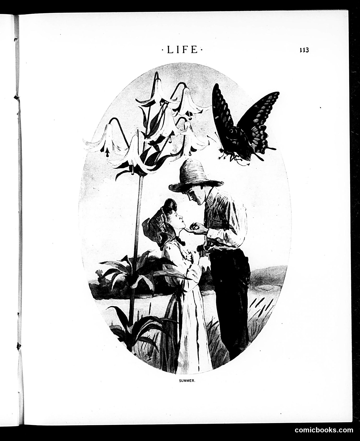 Life — July 27, 1905 — page 15 of 24