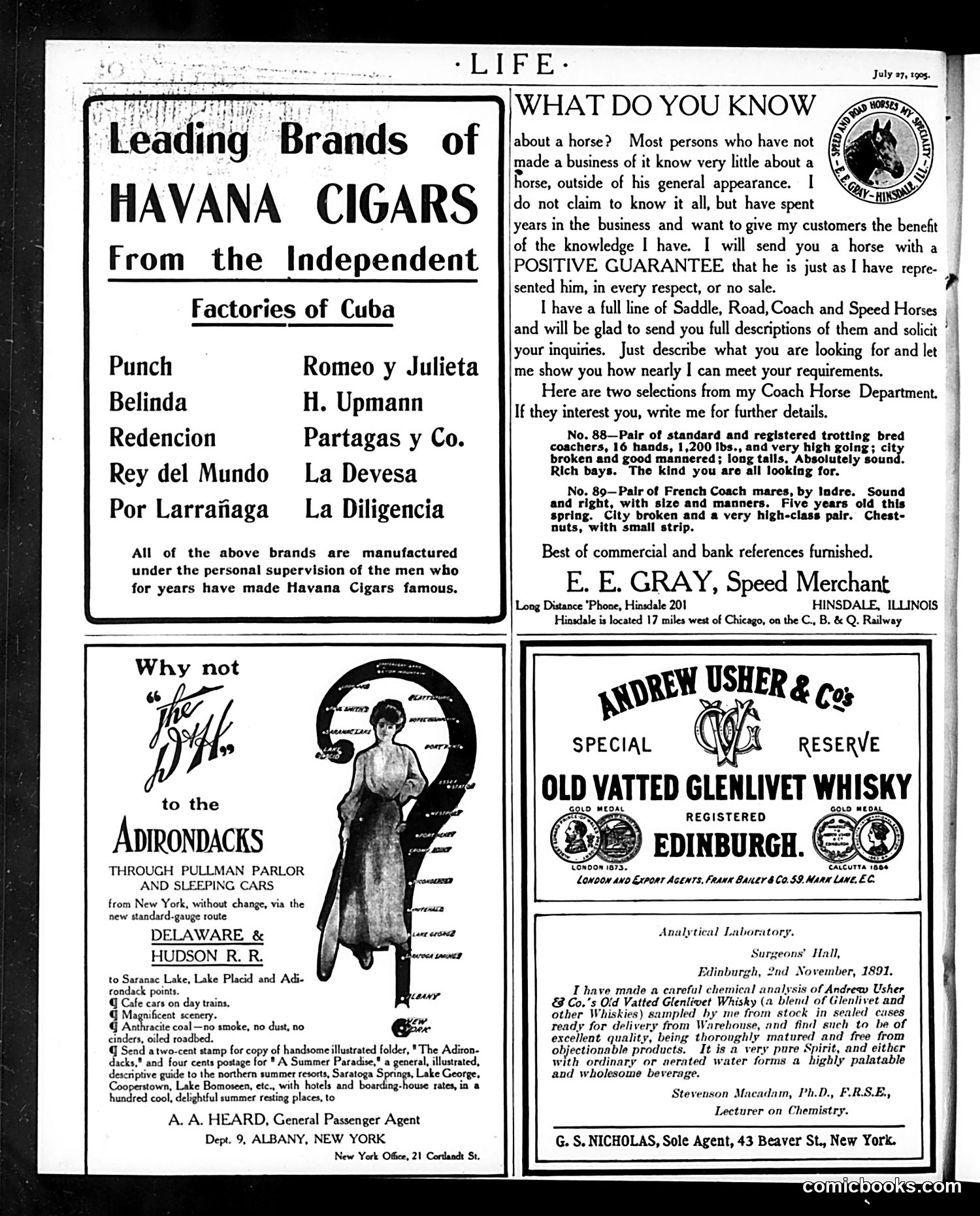 Life — July 27, 1905 — page 24 of 24