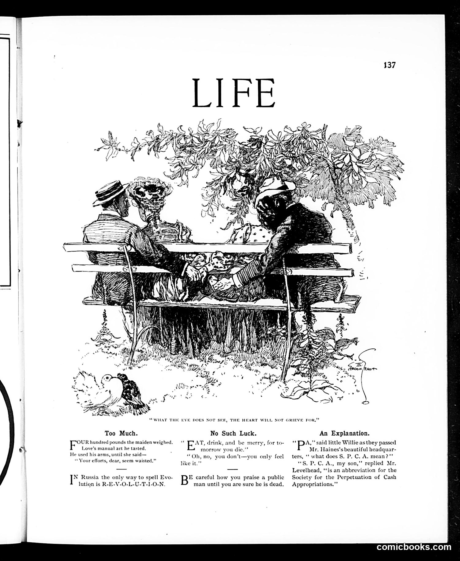 Life — August 3, 1905 — page 11 of 44