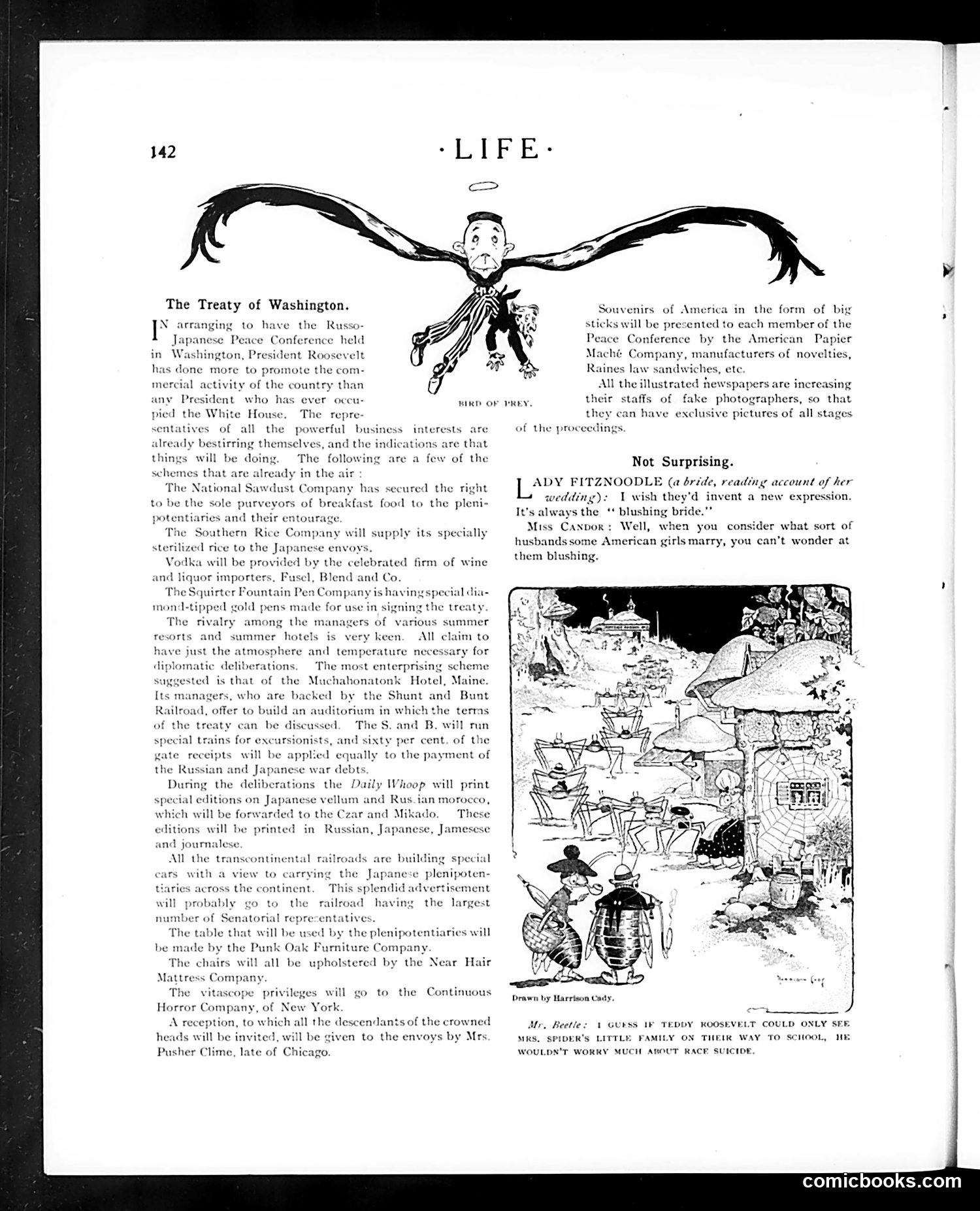 Life — August 3, 1905 — page 16 of 44