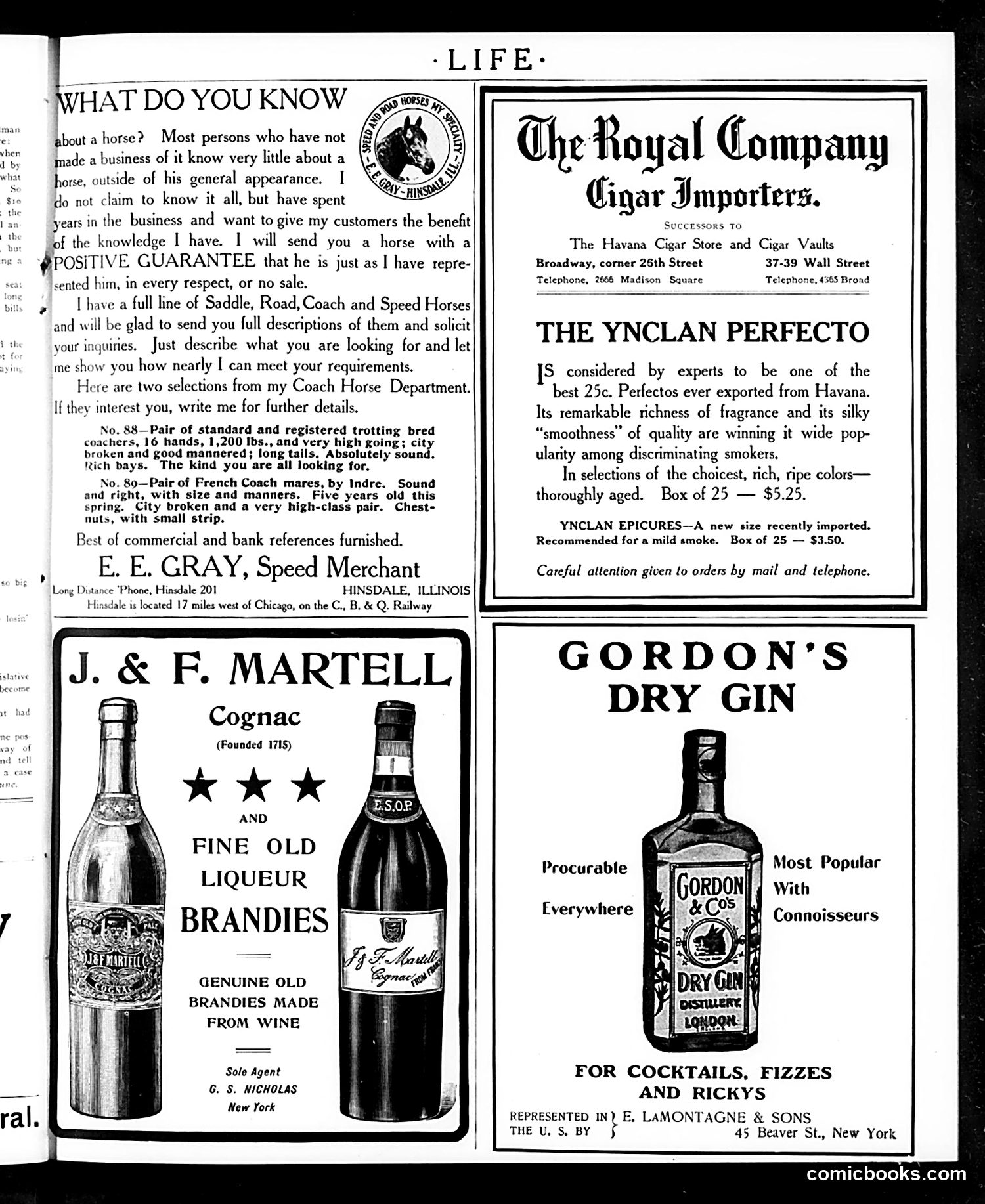 Life — August 3, 1905 — page 29 of 44