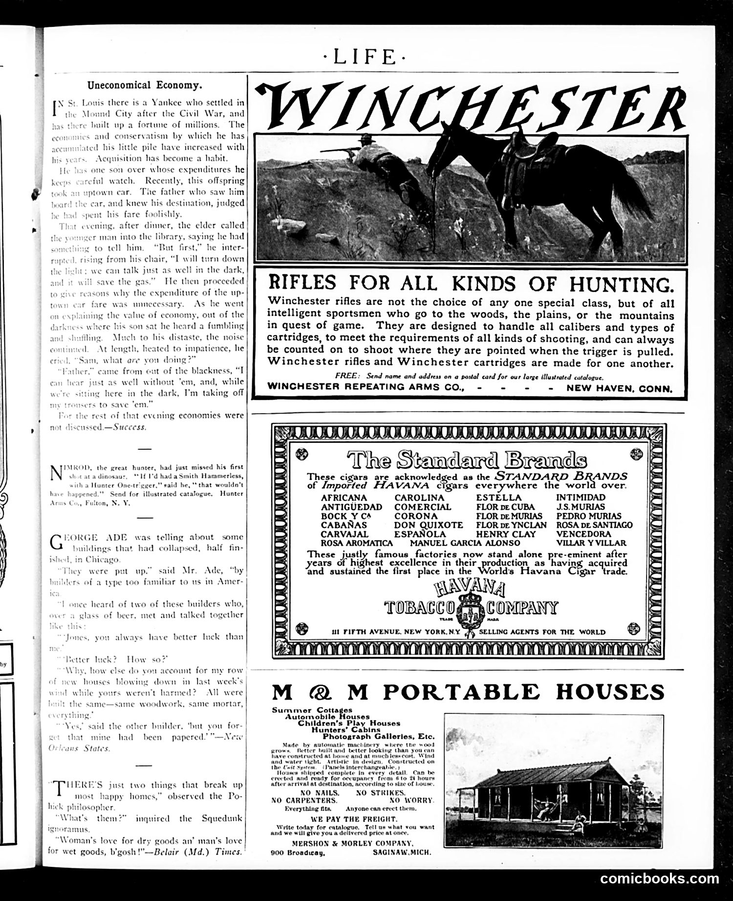 Life — August 3, 1905 — page 31 of 44