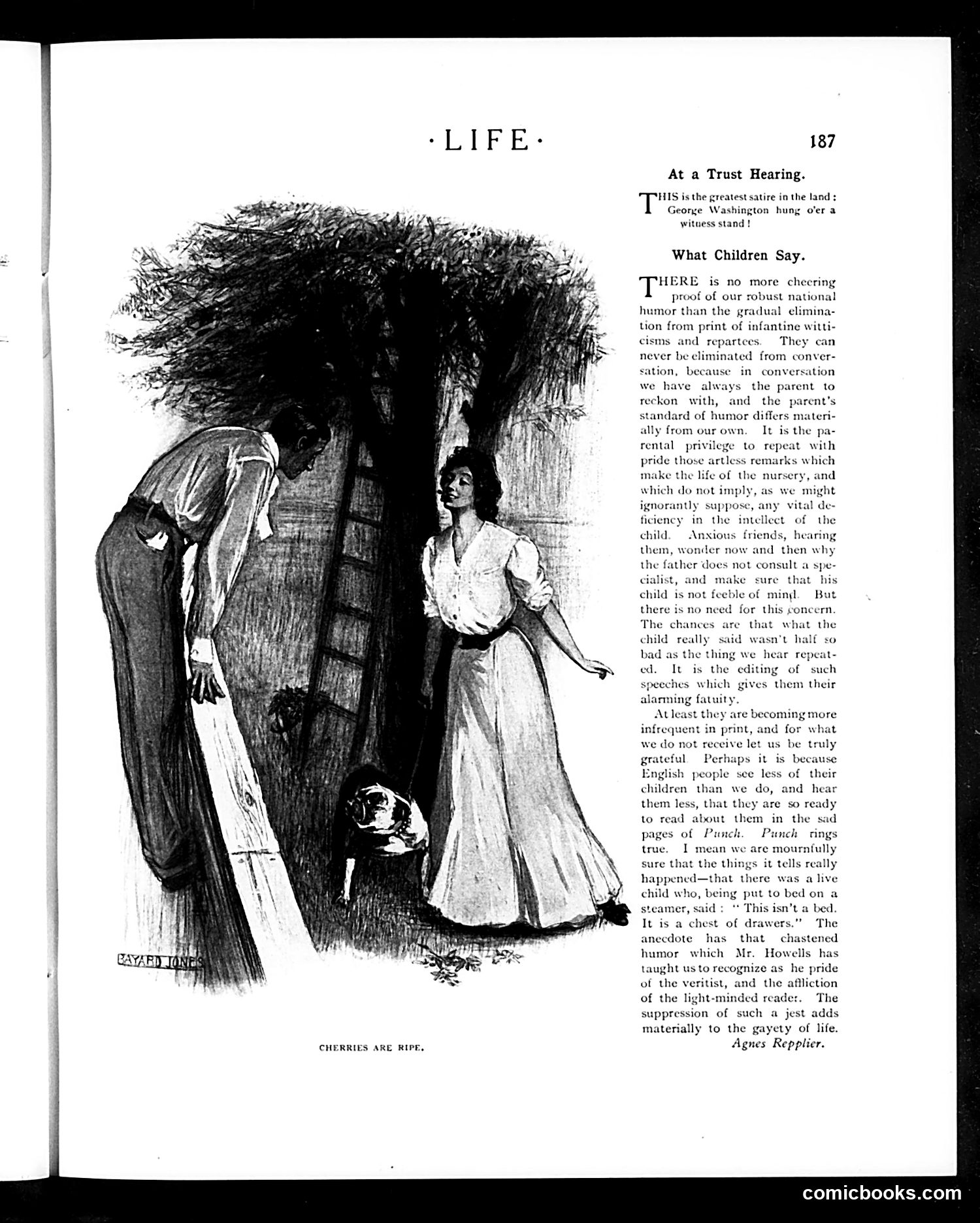 Life — August 10, 1905 — page 19 of 26