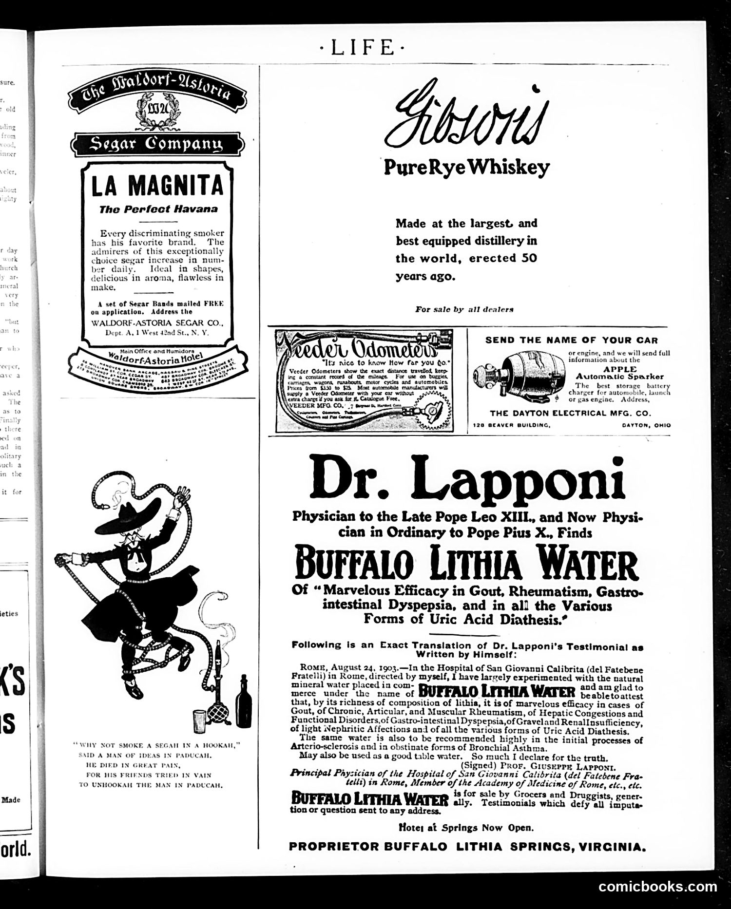 Life — August 10, 1905 — page 21 of 26