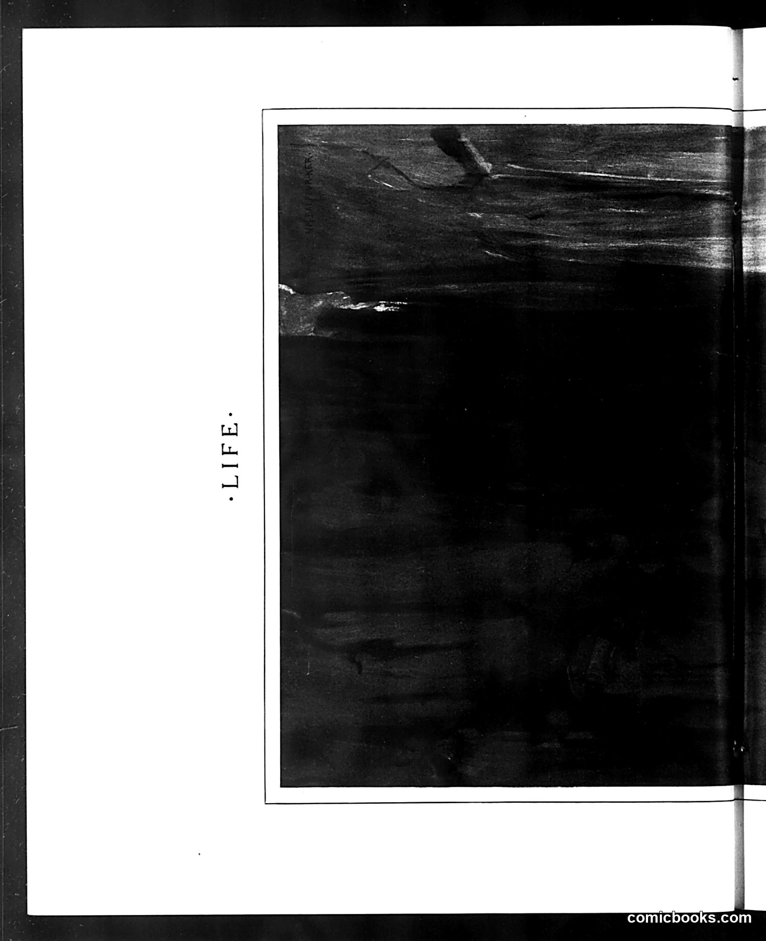 Life — August 17, 1905 — page 12 of 26