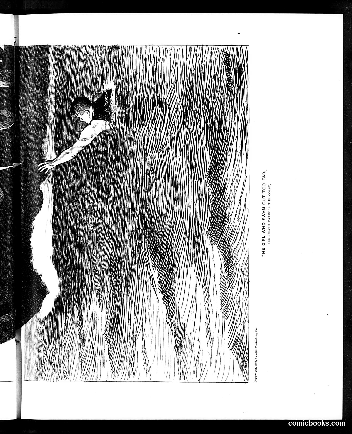 Life — August 24, 1905 — page 13 of 24