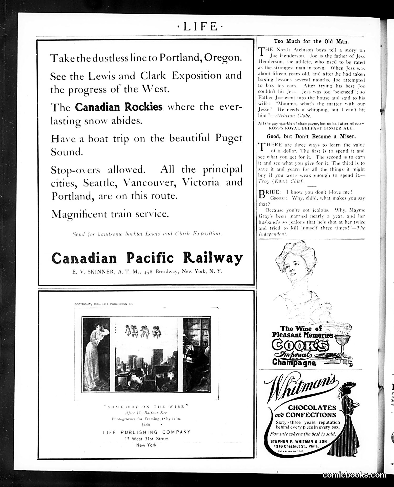 Life — August 24, 1905 — page 22 of 24