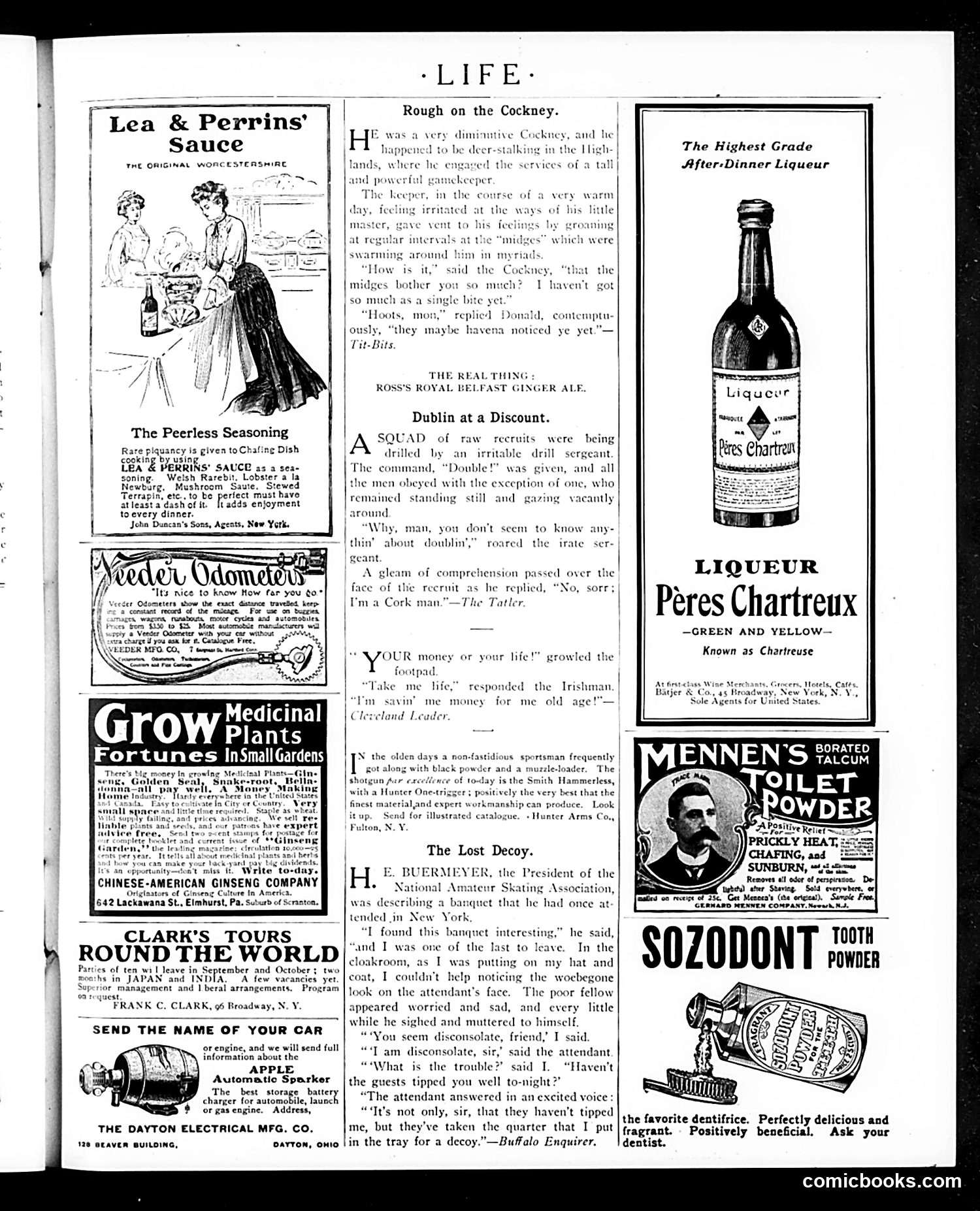 Life — August 24, 1905 — page 23 of 24