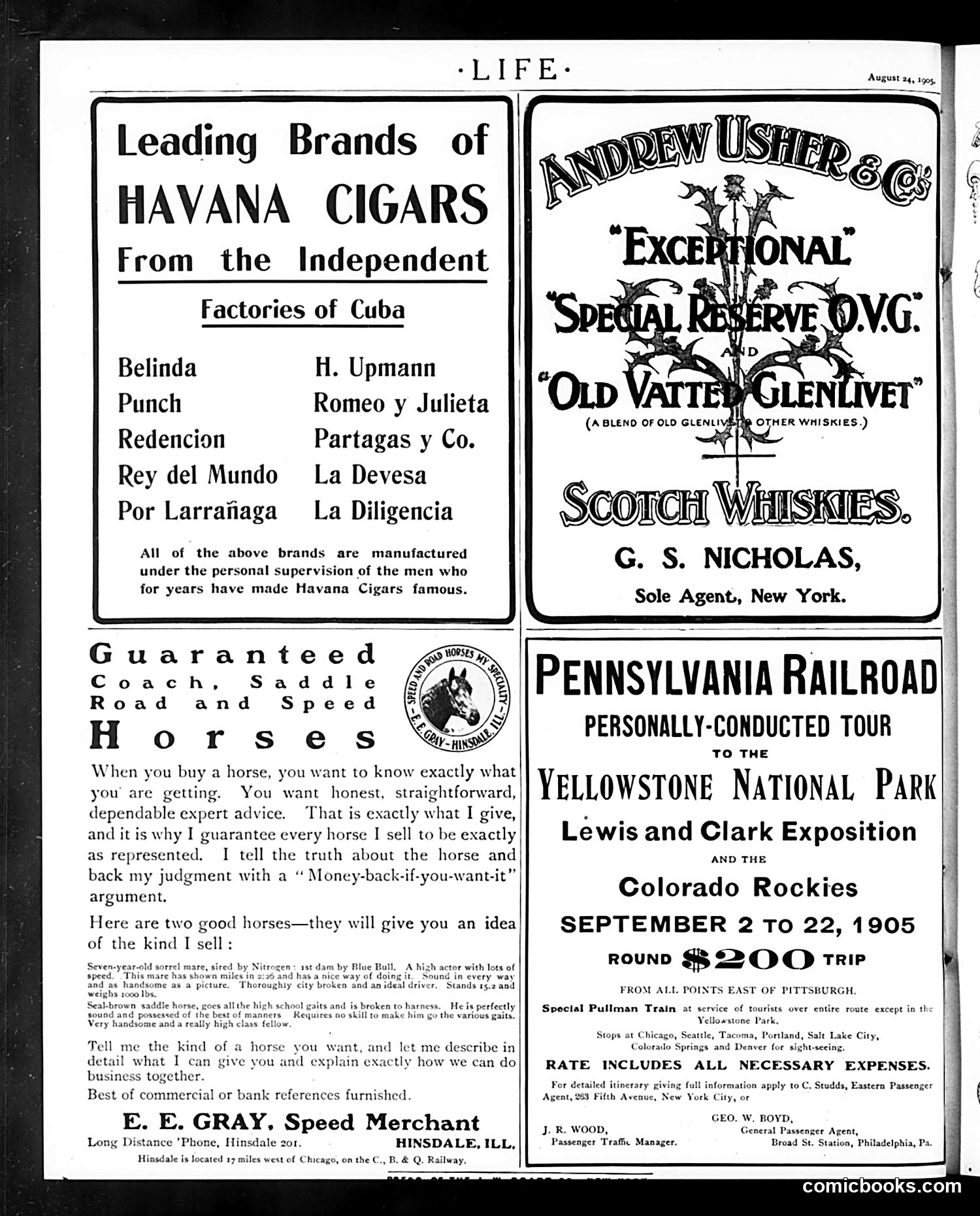 Life — August 24, 1905 — page 24 of 24