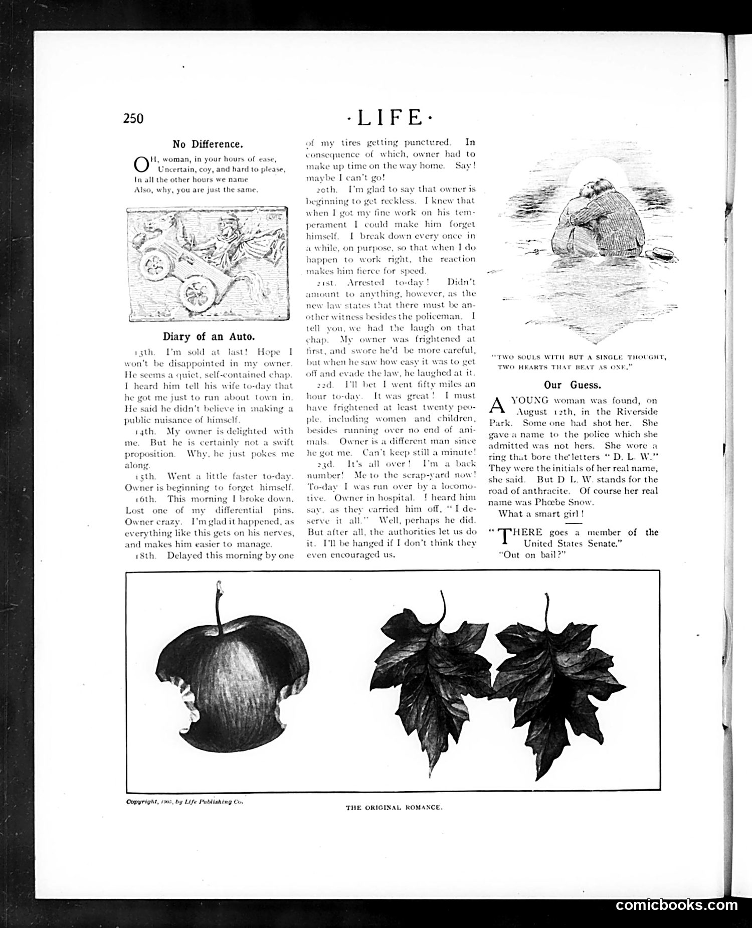 Life — August 31, 1905 — page 8 of 24