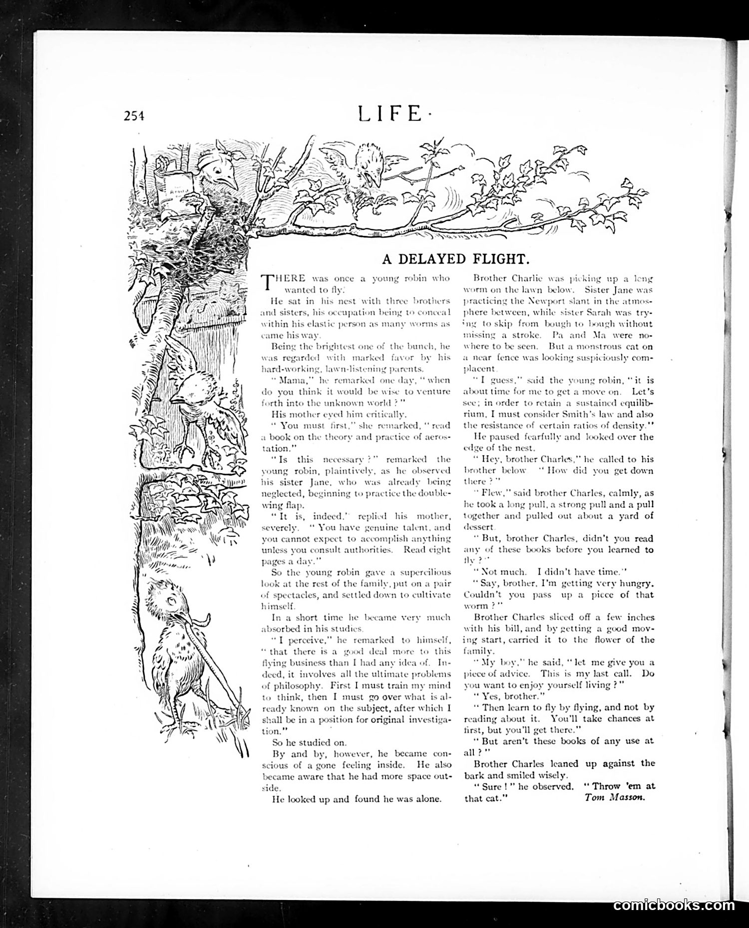 Life — August 31, 1905 — page 14 of 24
