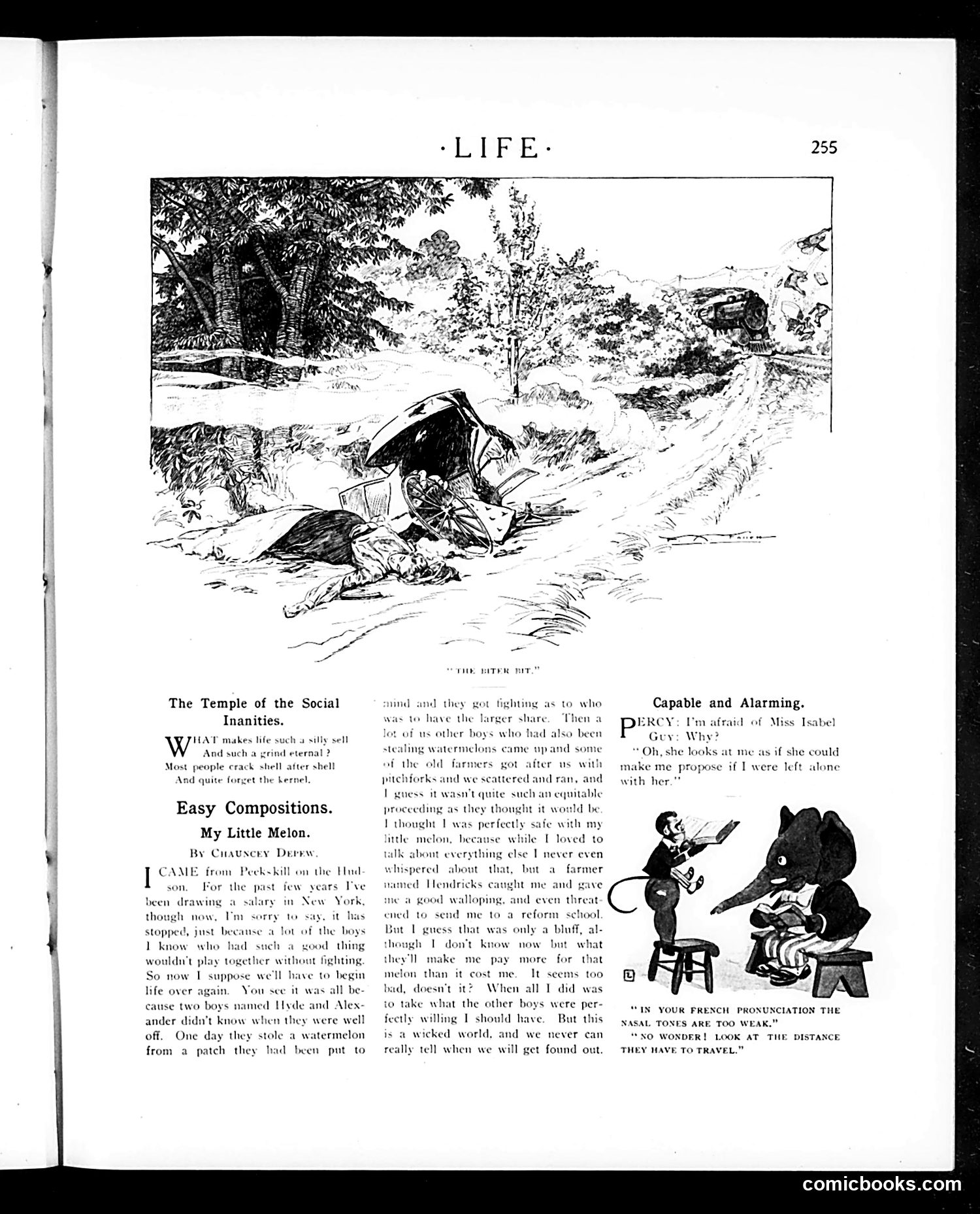 Life — August 31, 1905 — page 15 of 24