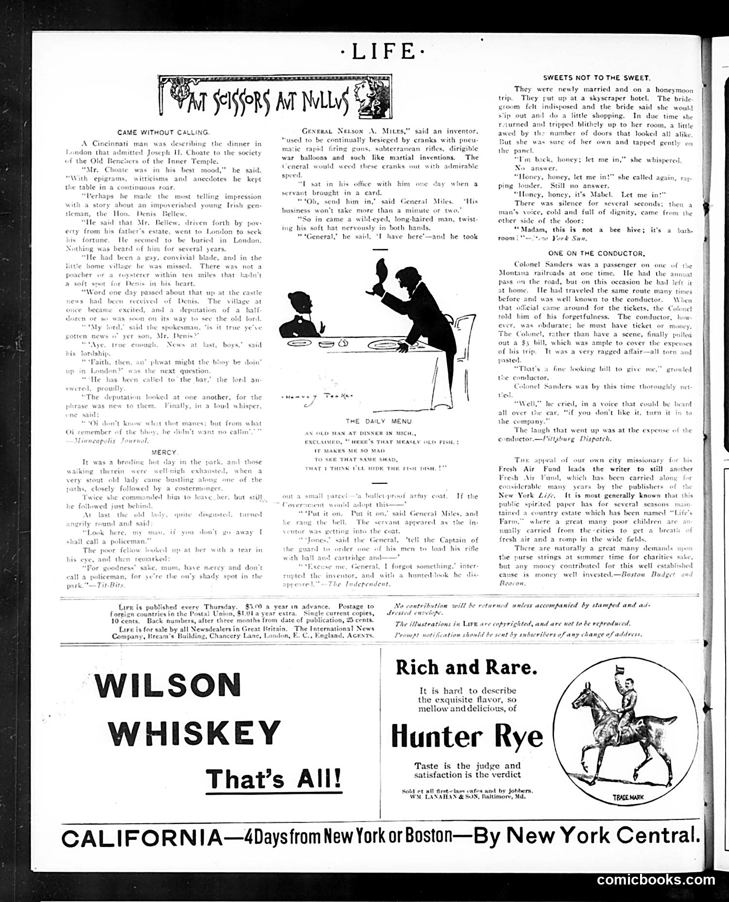 Life — August 31, 1905 — page 18 of 24