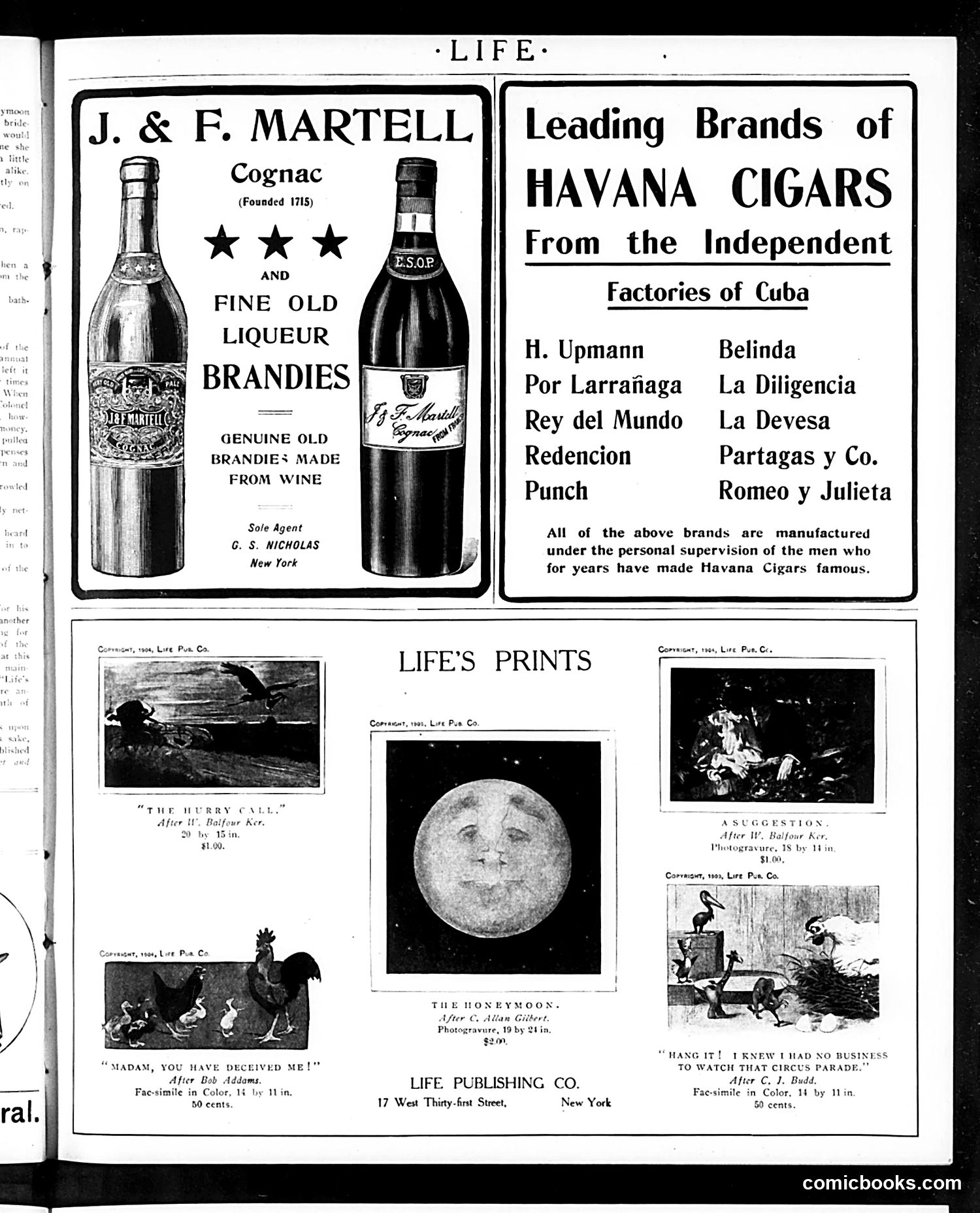 Life — August 31, 1905 — page 19 of 24
