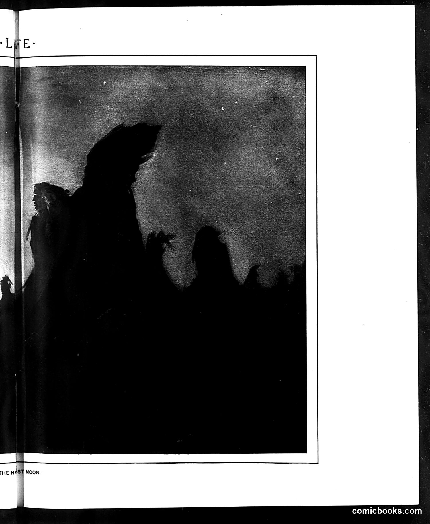 Life — September 21, 1905 — page 13 of 26
