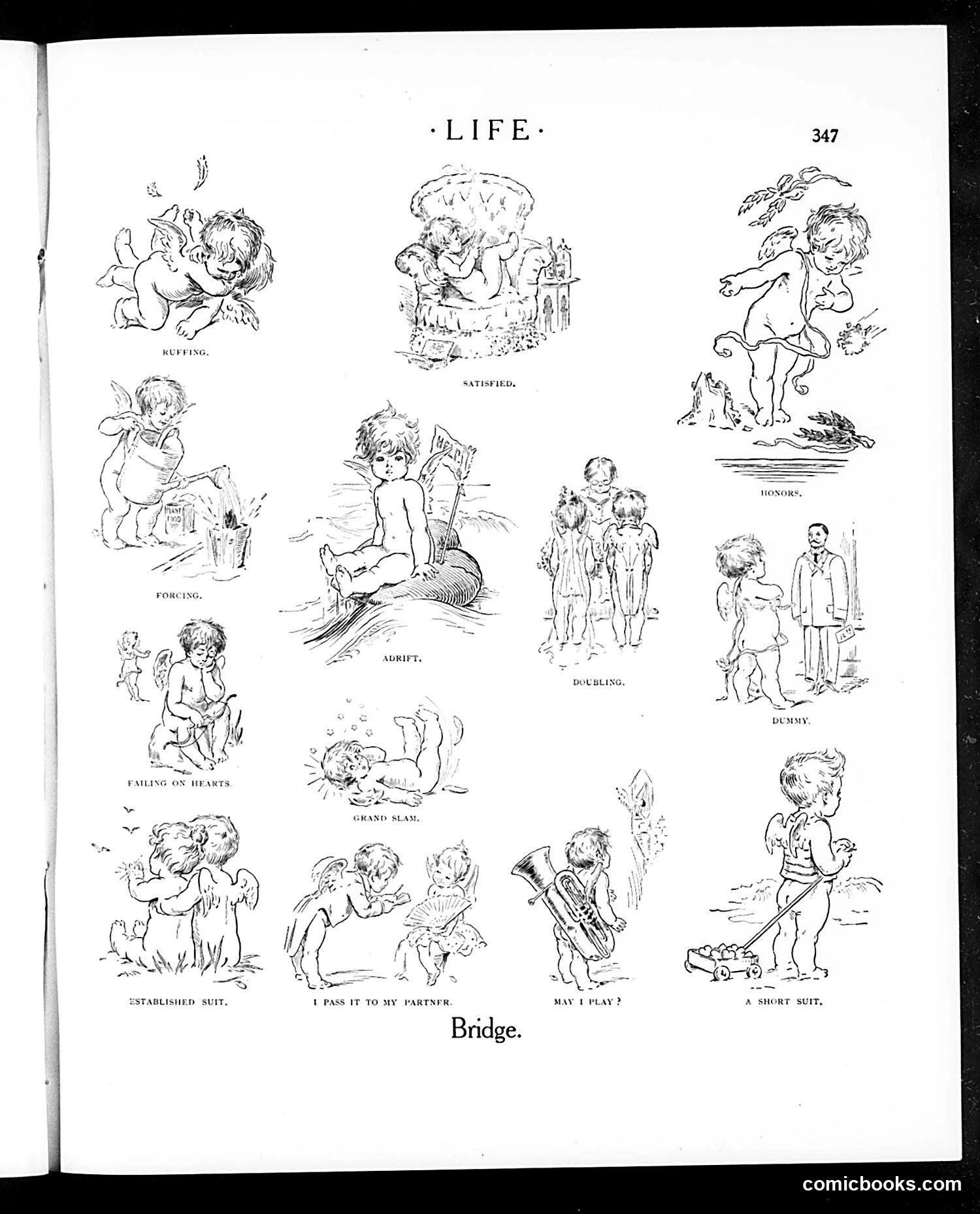 Life — September 21, 1905 — page 17 of 26