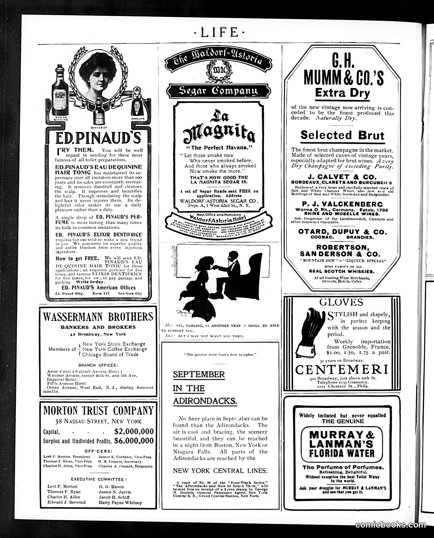Life — September 28, 1905 — page 22 of 24