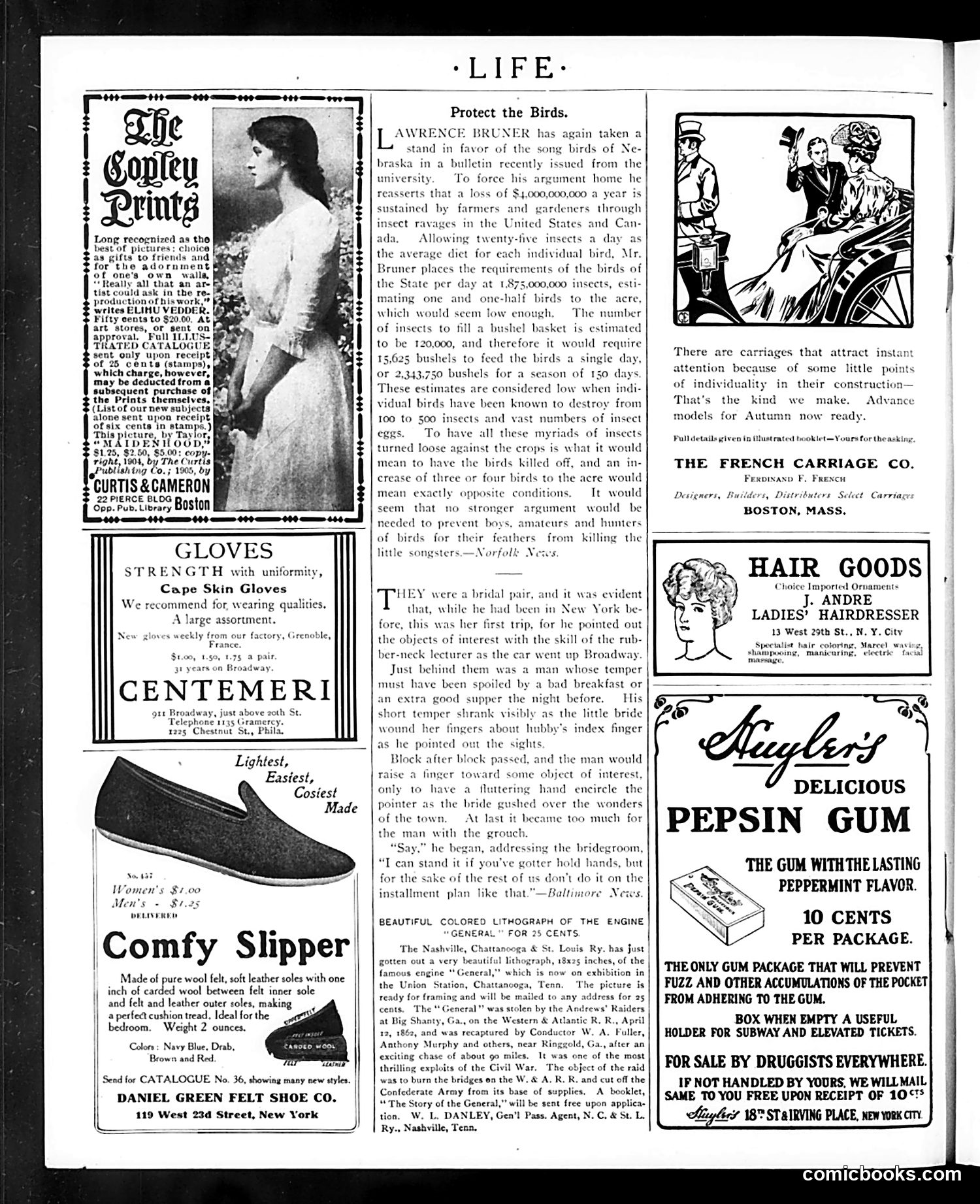 Life — October 5, 1905 — page 4 of 44