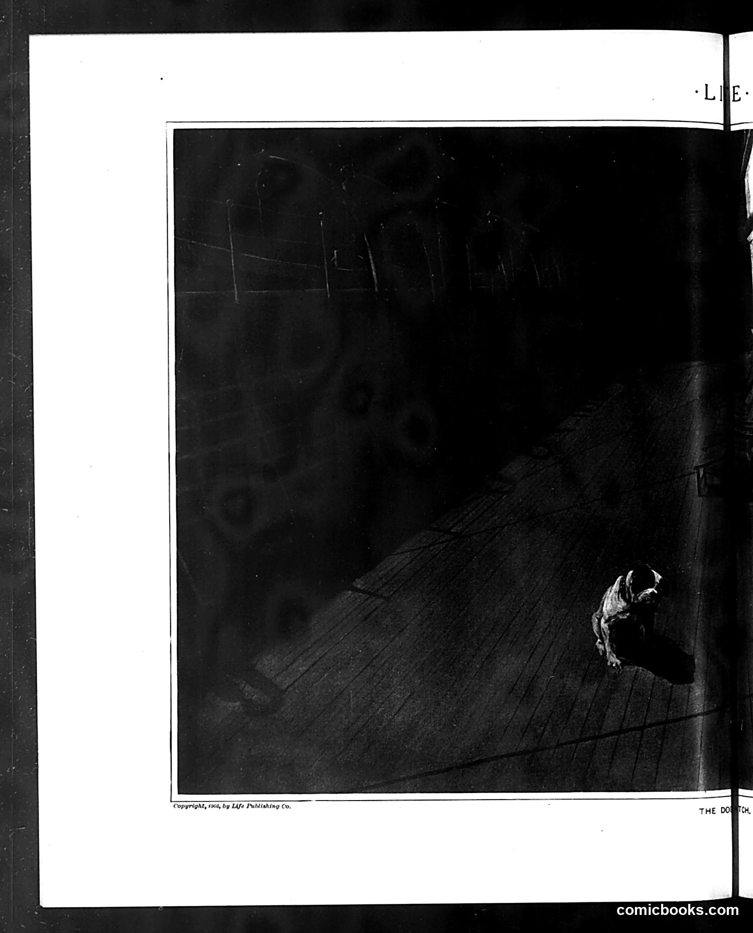 Life — October 19, 1905 — page 14 of 30