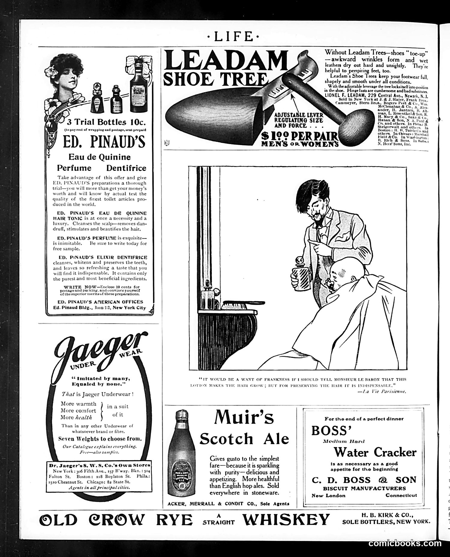 Life — October 26, 1905 — page 24 of 26