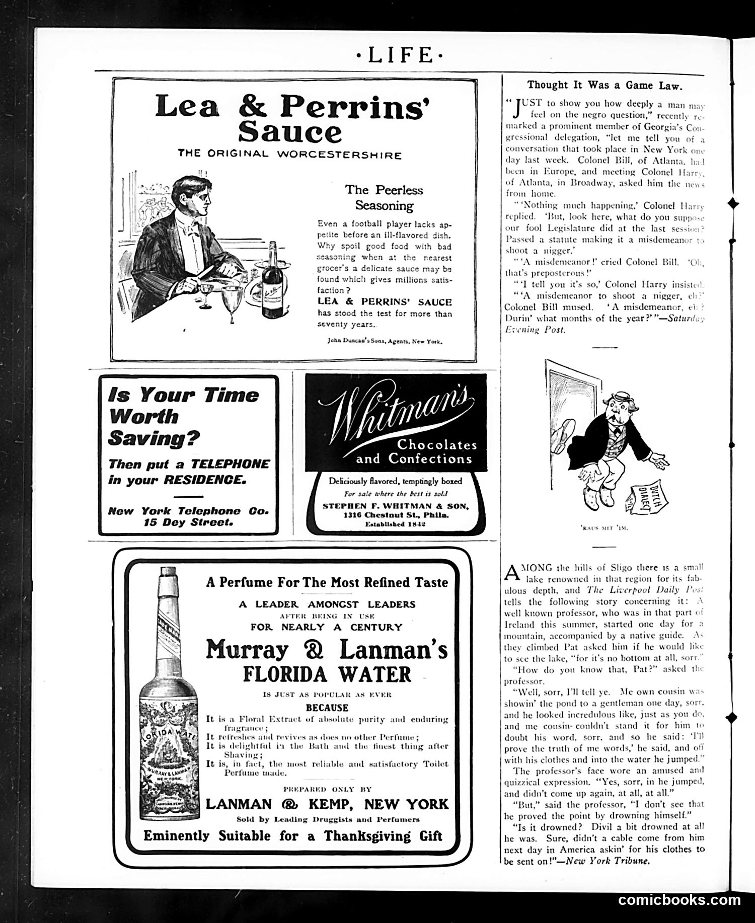 Life — November 2, 1905 — page 10 of 48