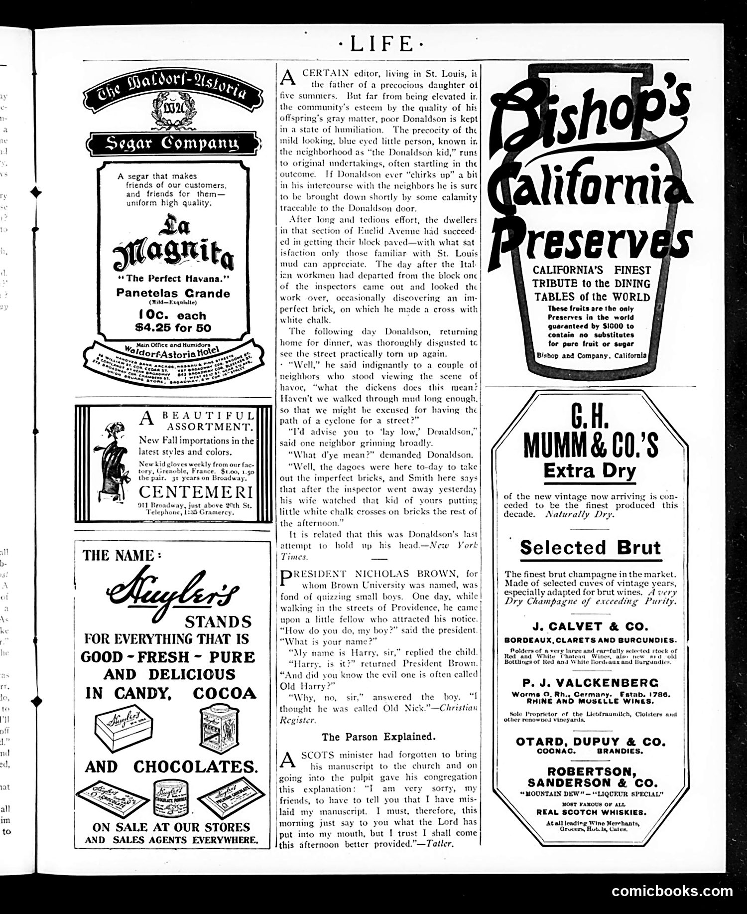 Life — November 2, 1905 — page 11 of 48