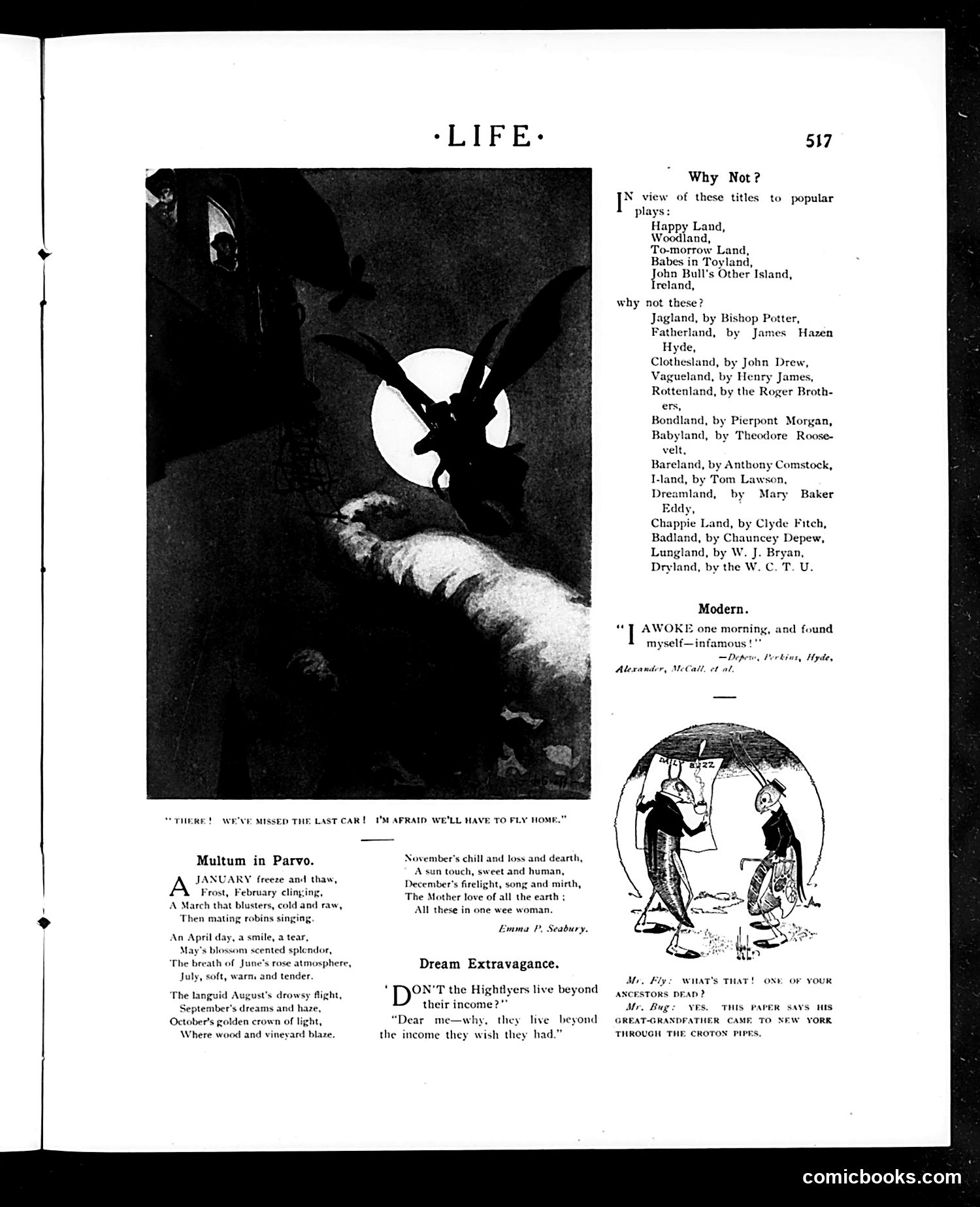 Life — November 2, 1905 — page 17 of 48