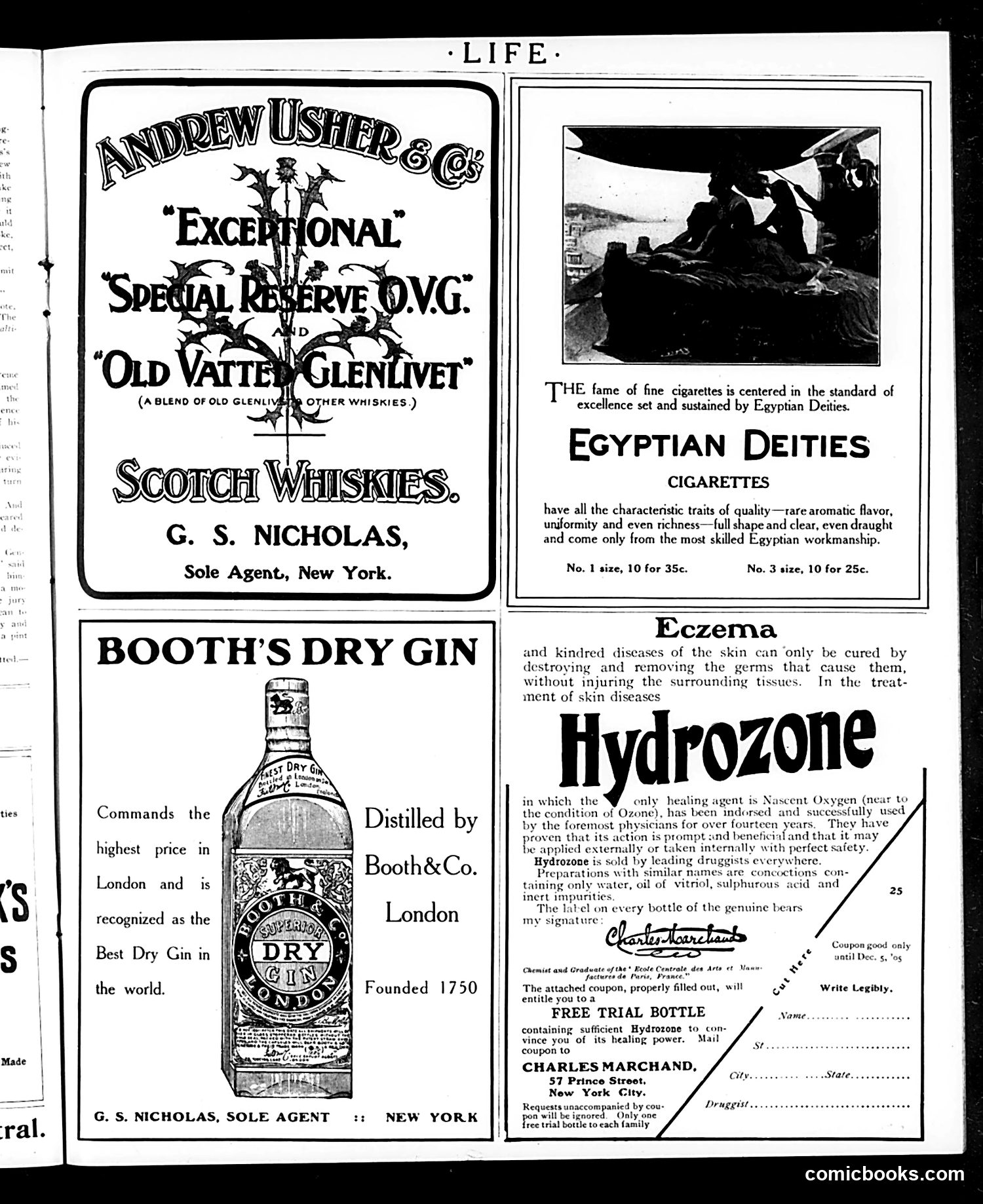 Life — November 2, 1905 — page 33 of 48