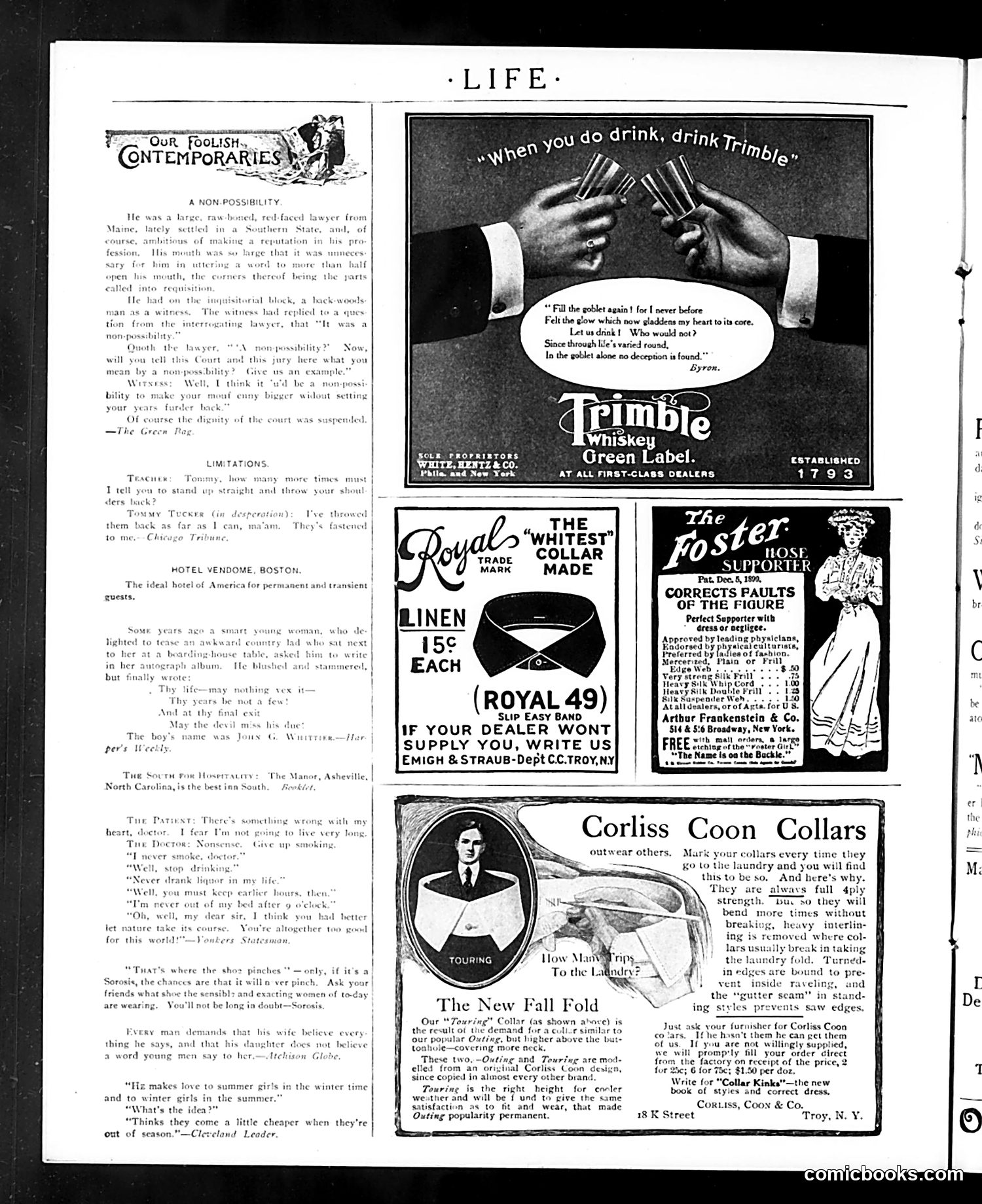 Life — November 2, 1905 — page 34 of 48