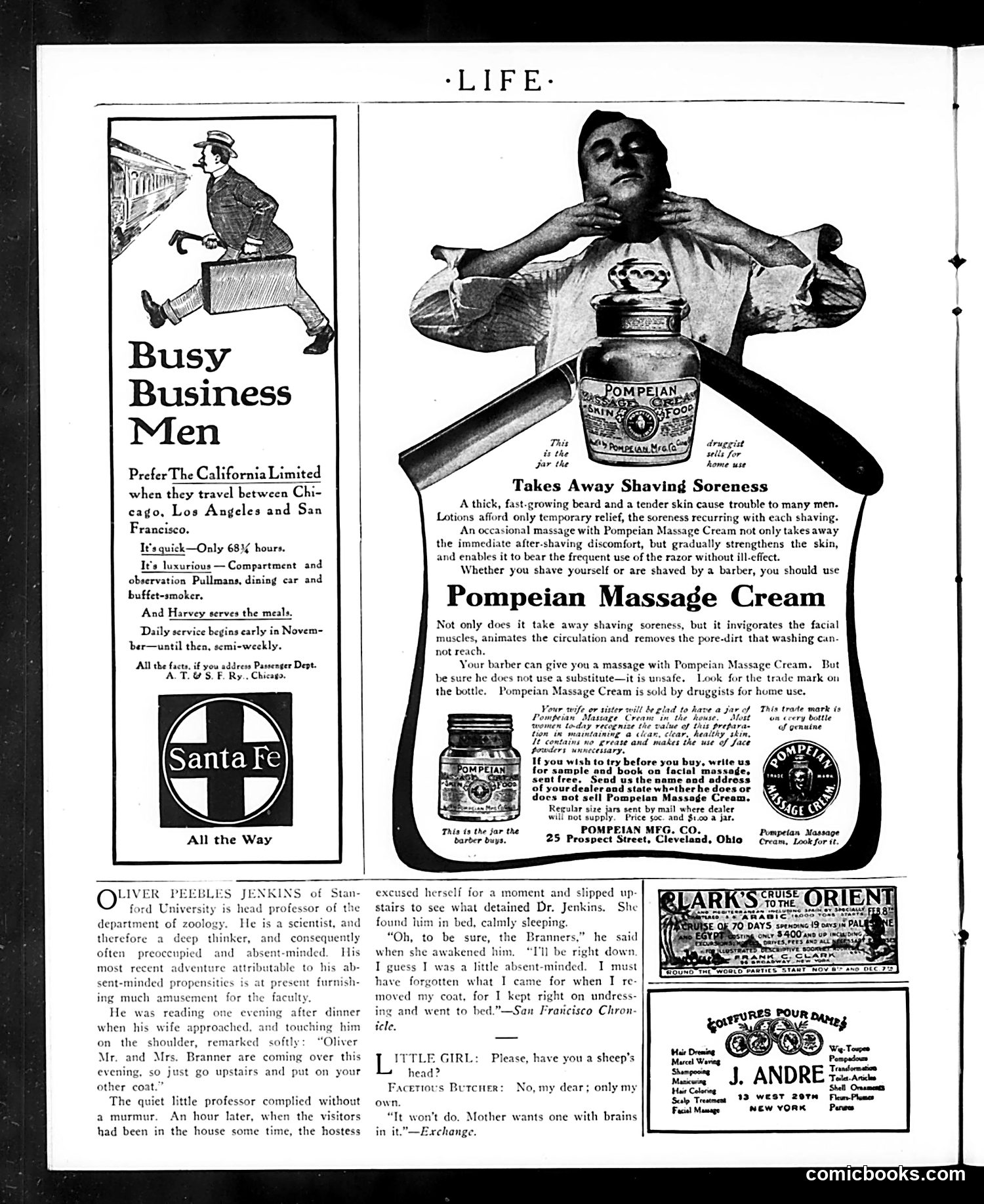 Life — November 2, 1905 — page 42 of 48