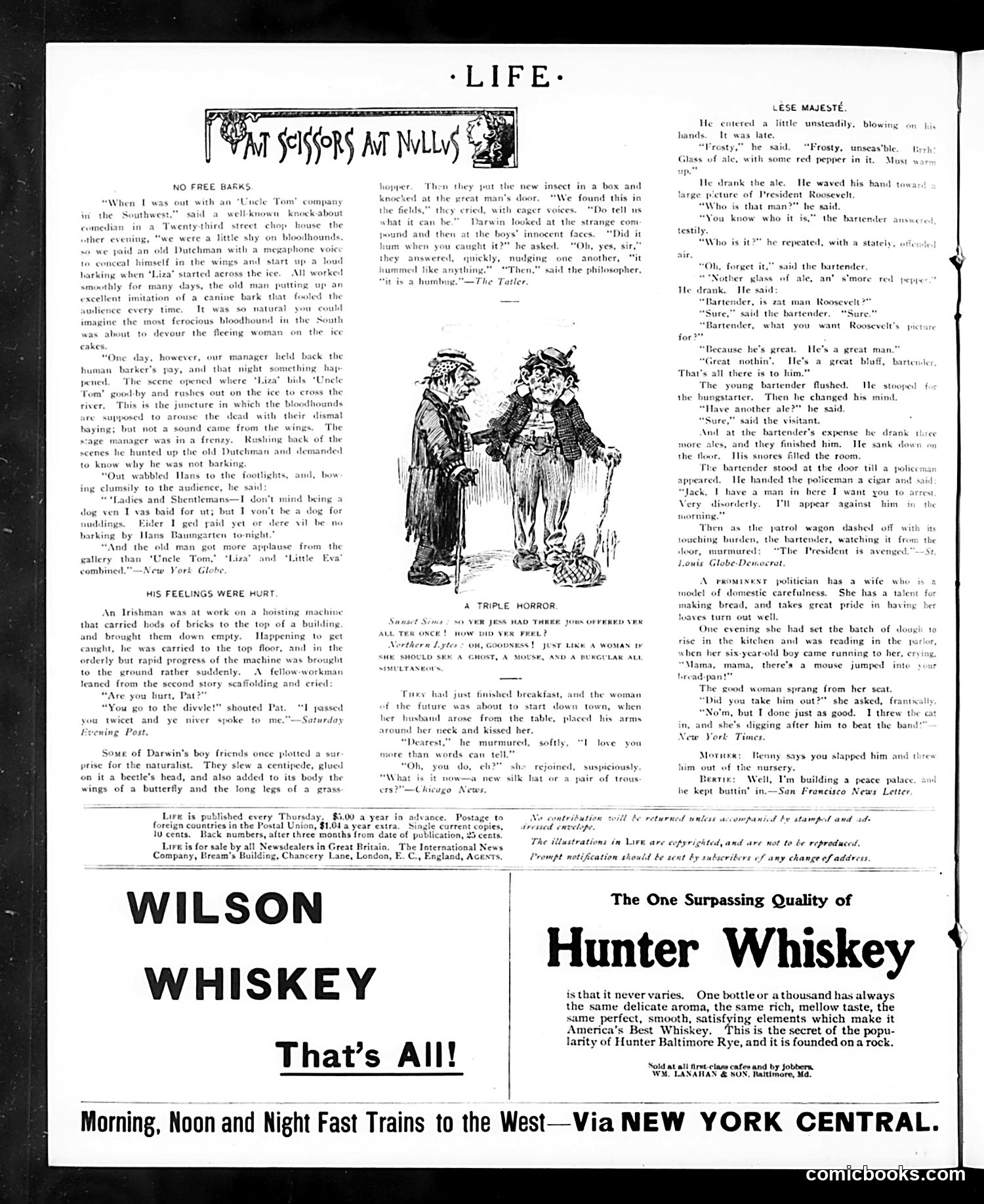 Life — November 9, 1905 — page 18 of 26