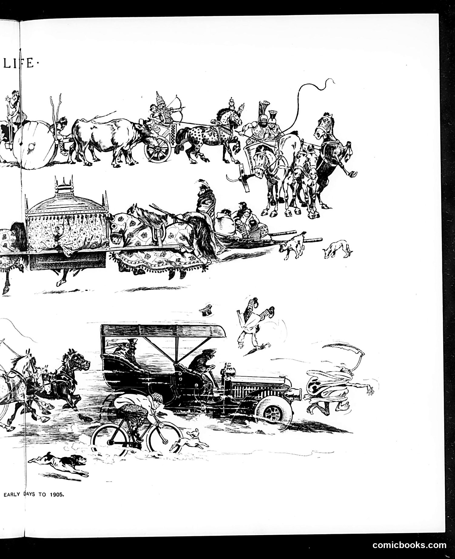 Life — November 16, 1905 — page 15 of 30