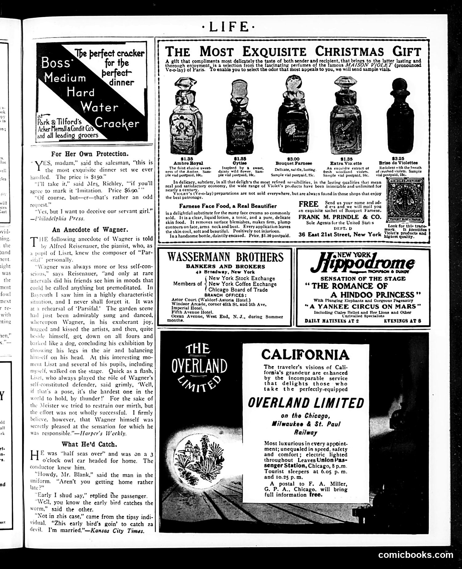 Life — November 30, 1905 — page 3 of 24