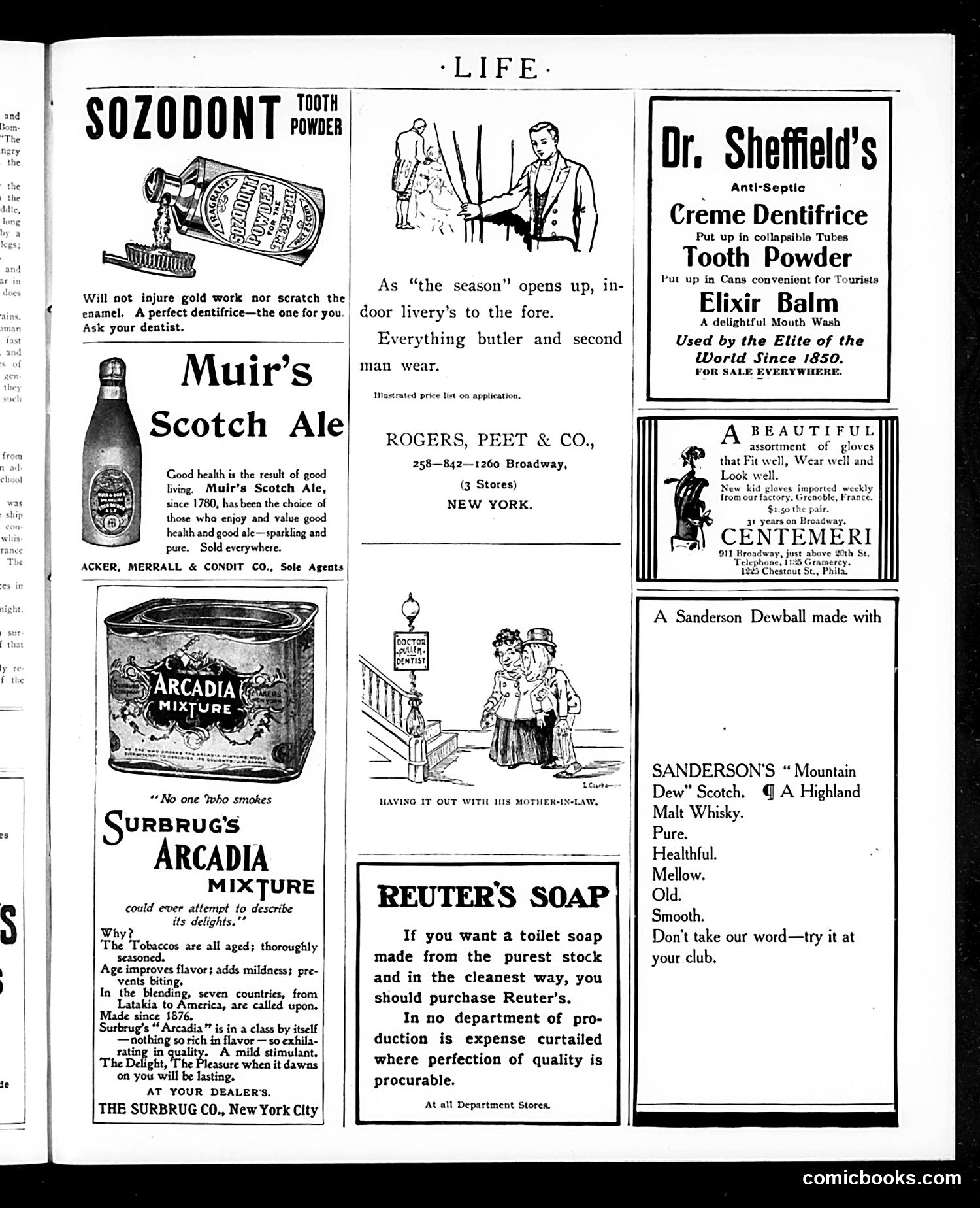 Life — November 30, 1905 — page 19 of 24
