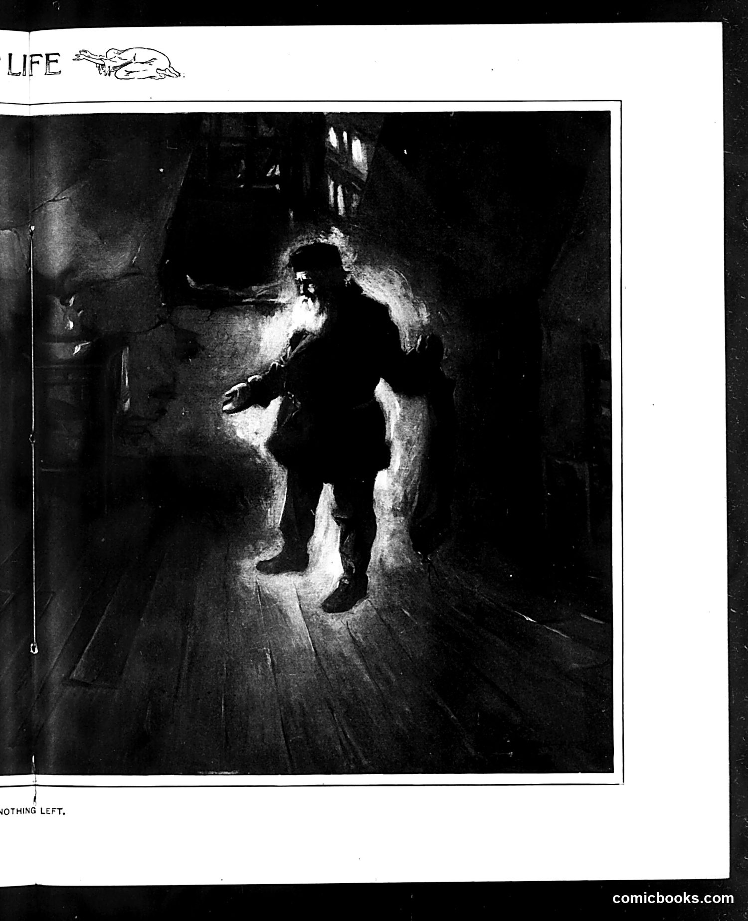 Life — December 7, 1905 — page 31 of 60