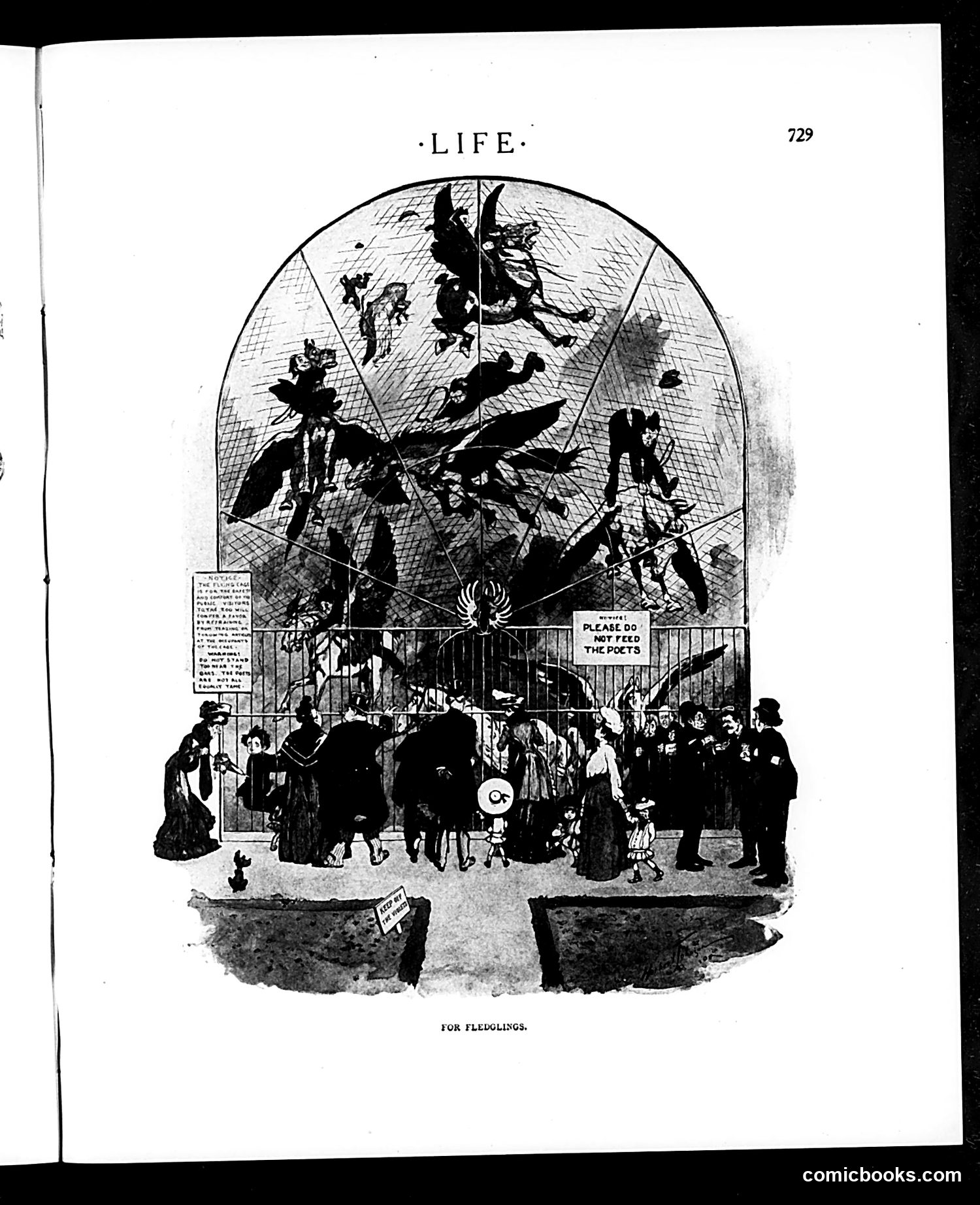 Life — December 9, 1905 — page 17 of 26