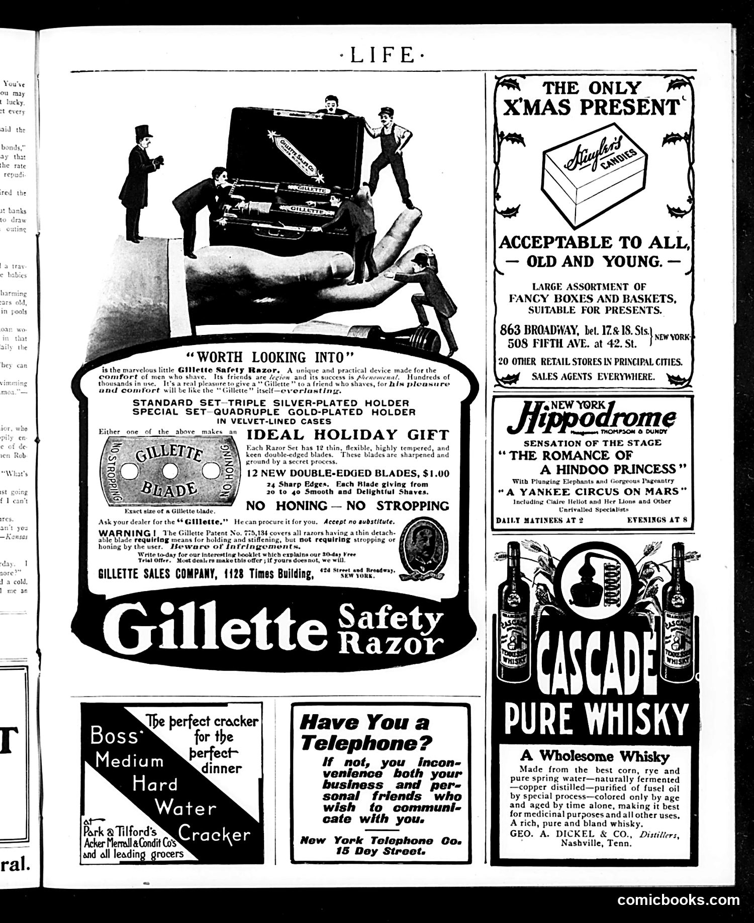 Life — December 9, 1905 — page 19 of 26