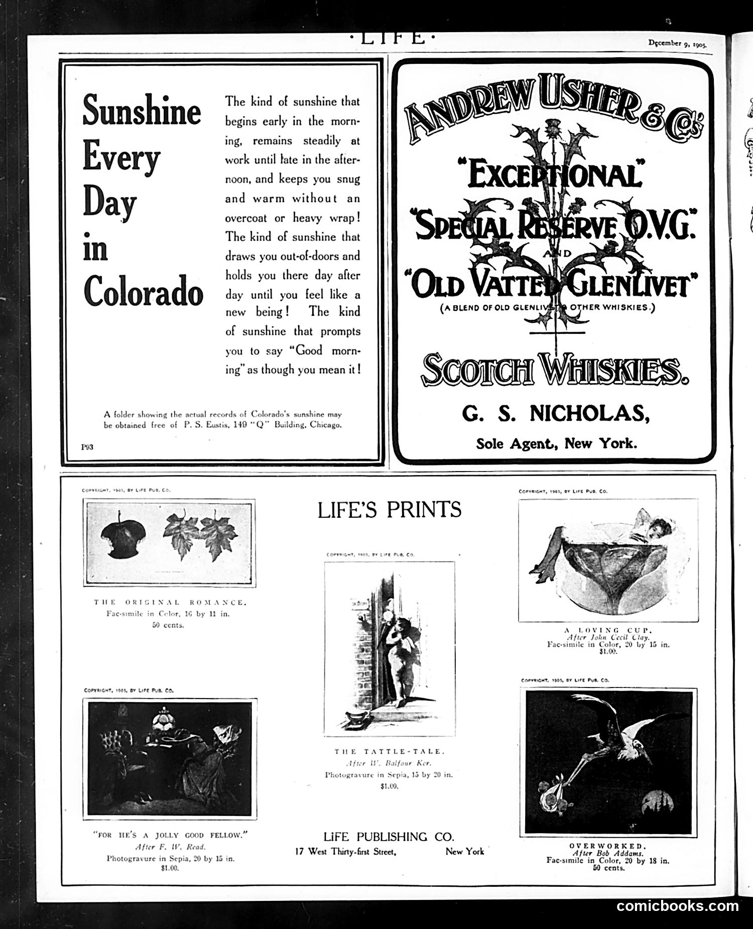 Life — December 9, 1905 — page 26 of 26