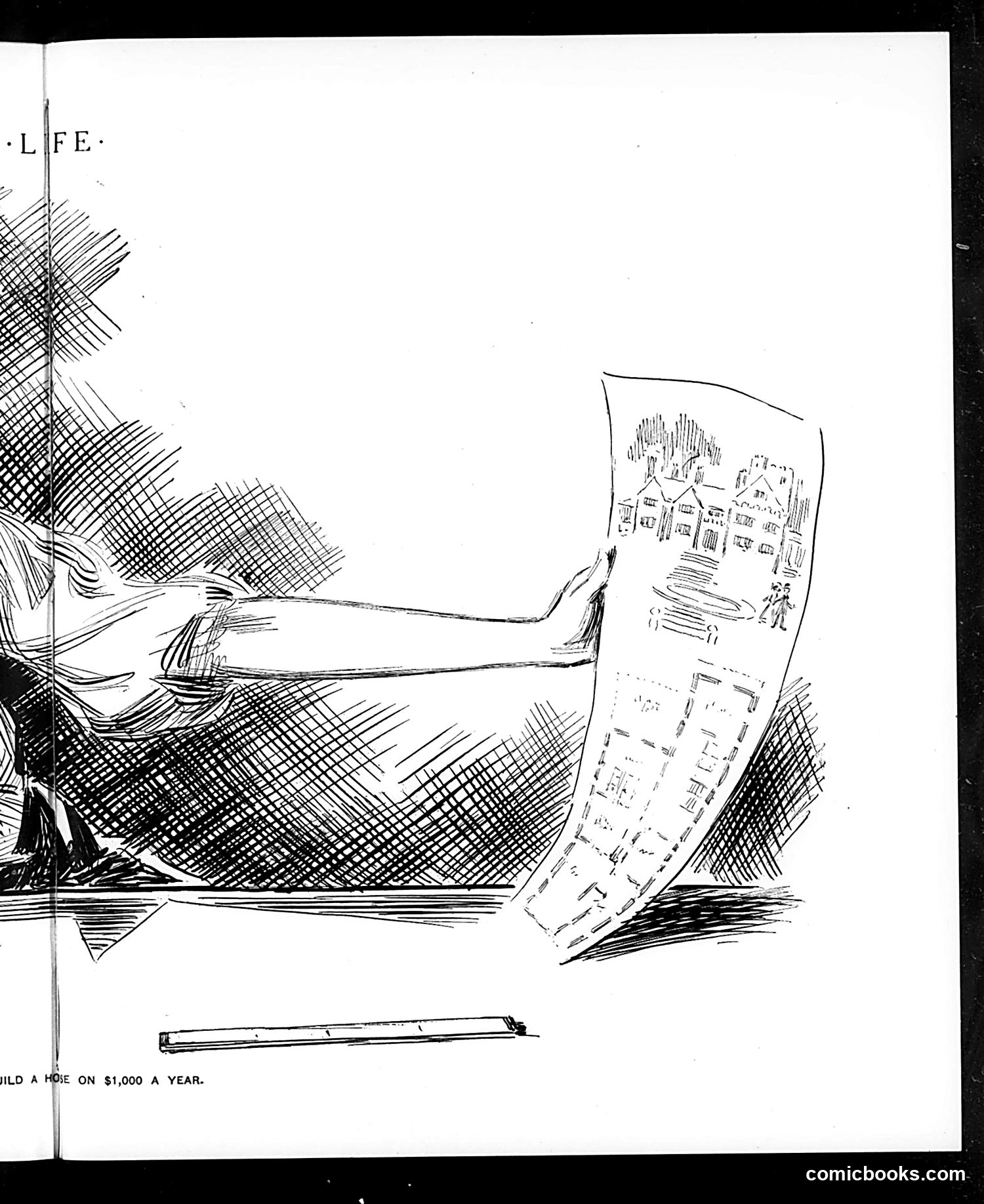 Life — December 21, 1905 — page 15 of 30