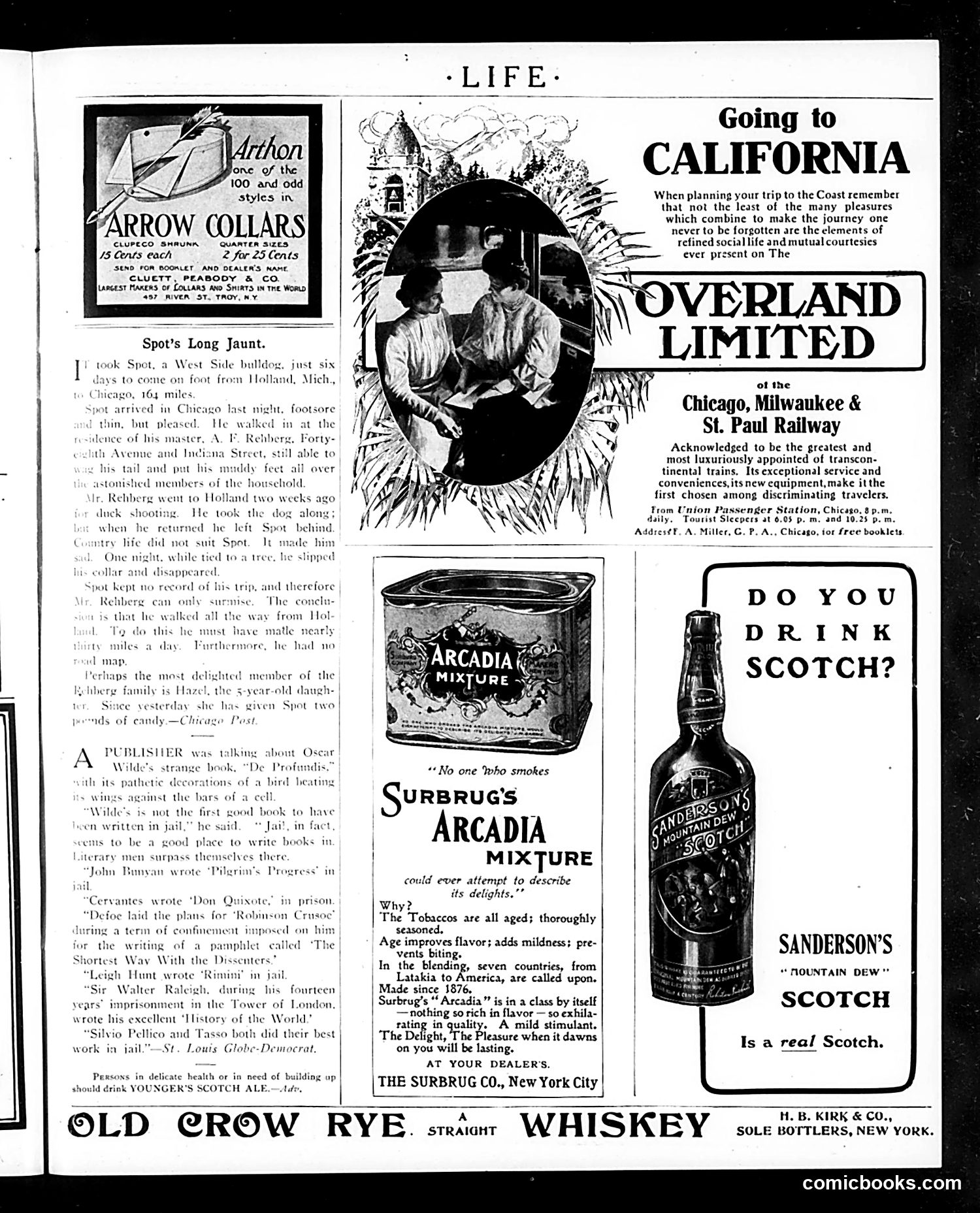 Life — January 11, 1906 — page 21 of 26