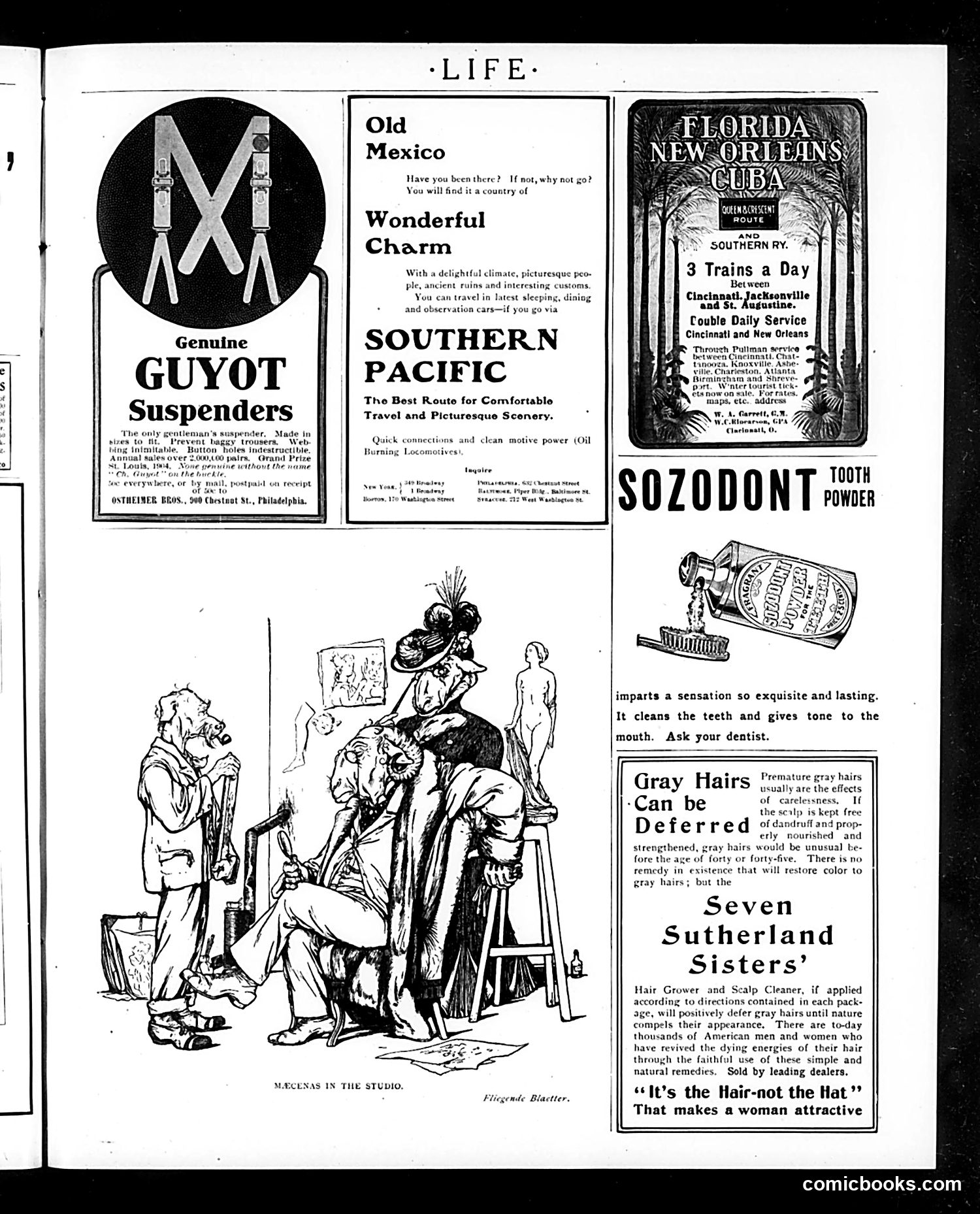 Life — January 11, 1906 — page 25 of 26