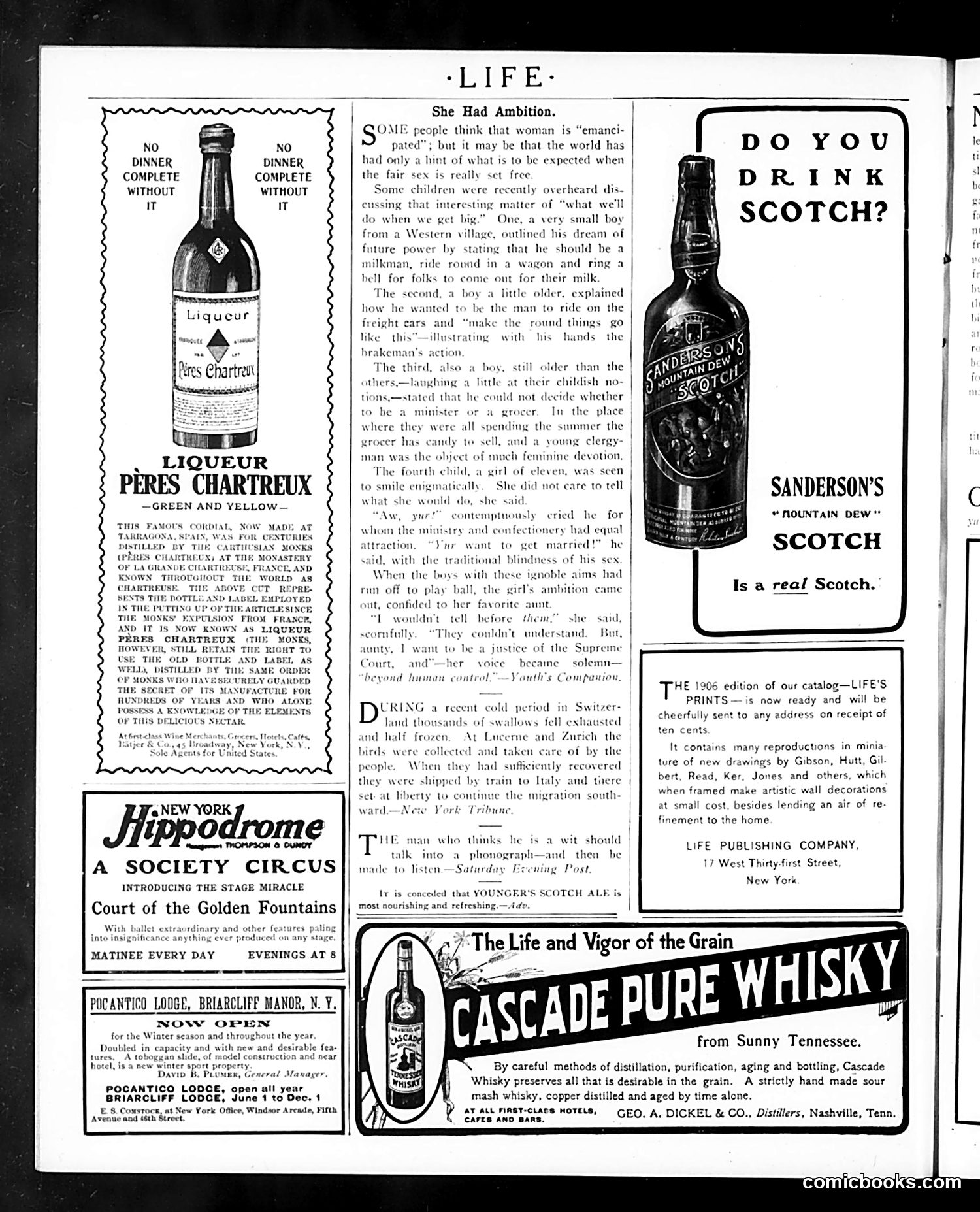 Life — January 18, 1906 — page 24 of 28