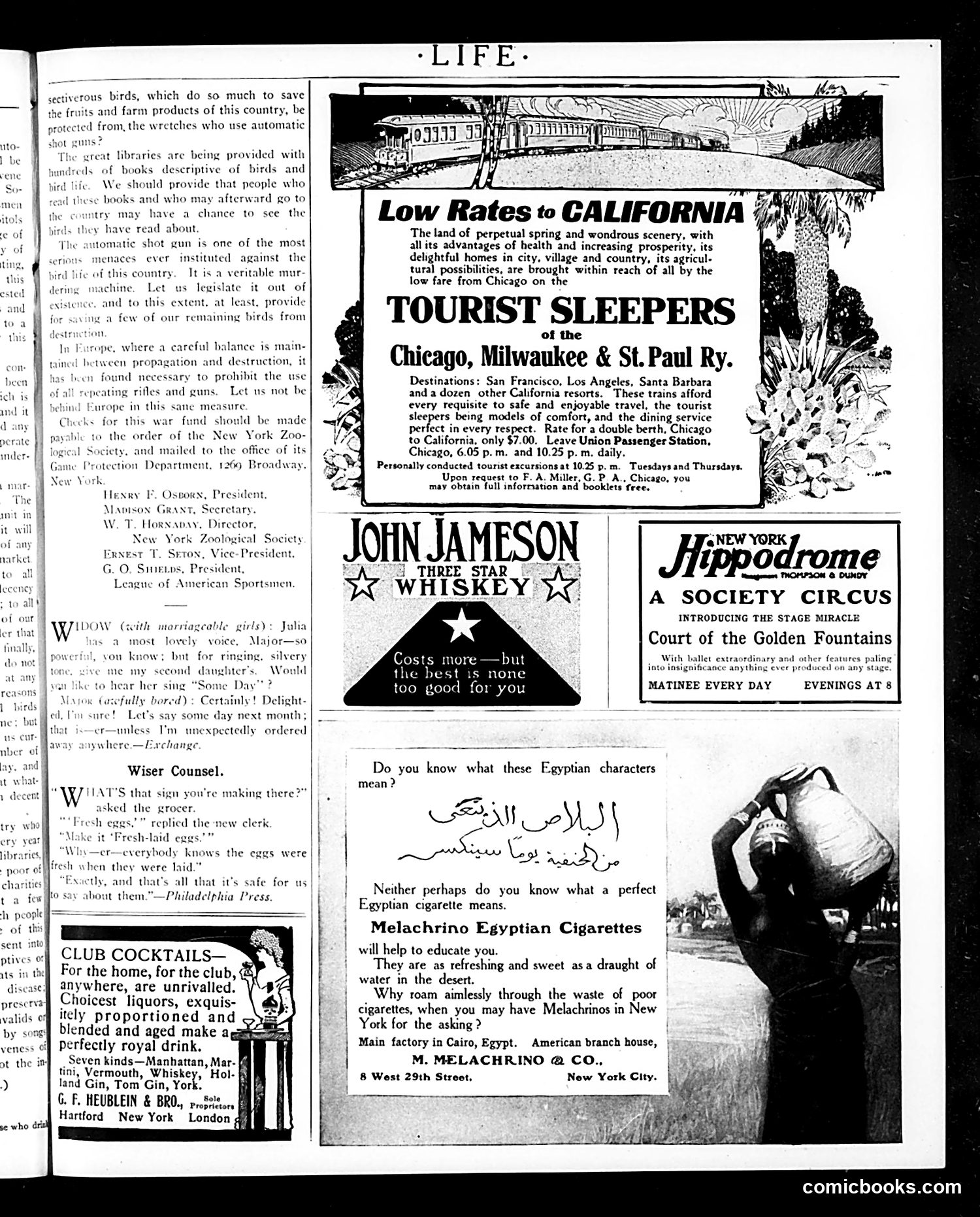 Life — January 25, 1906 — page 3 of 24