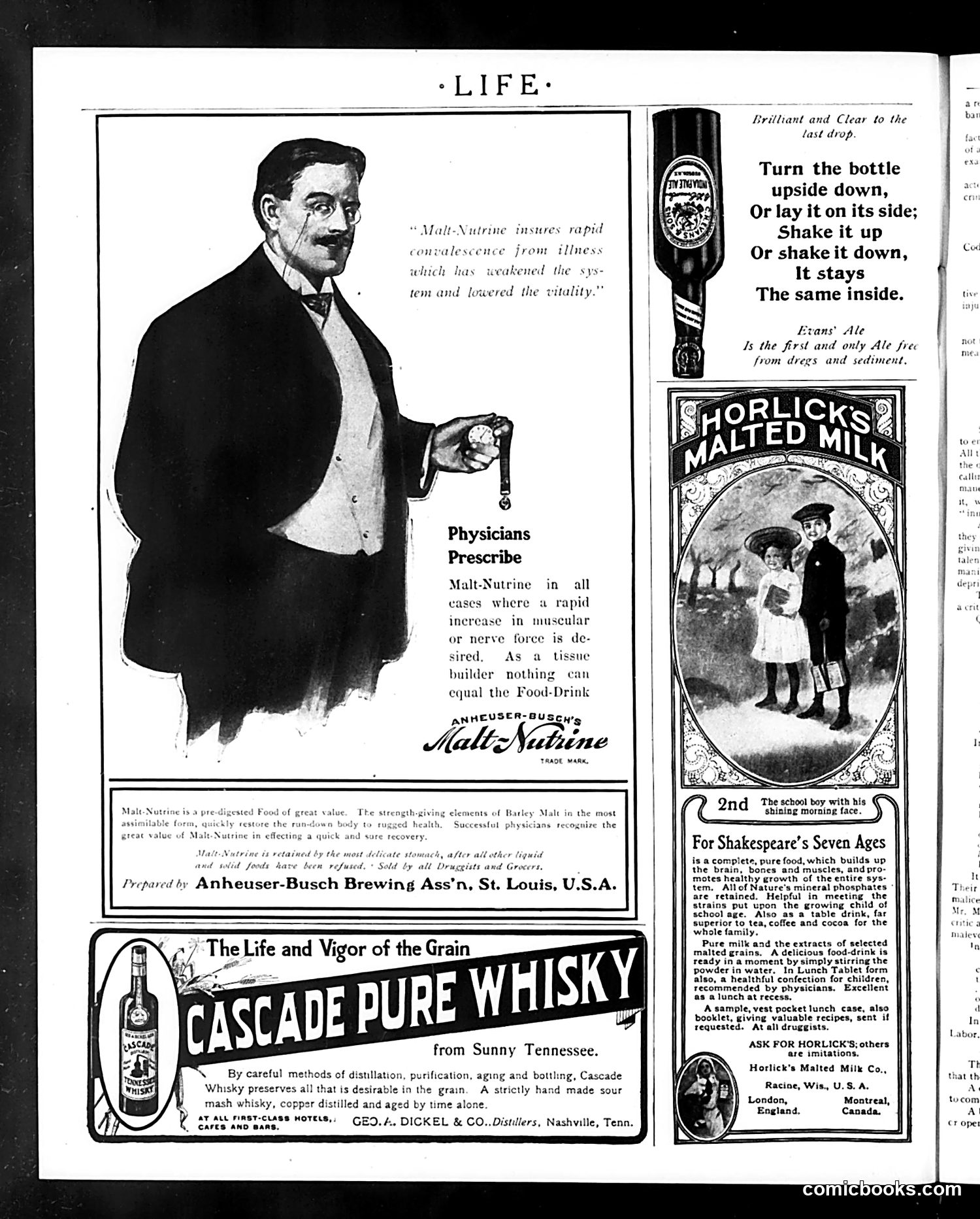Life — February 1, 1906 — page 38 of 48