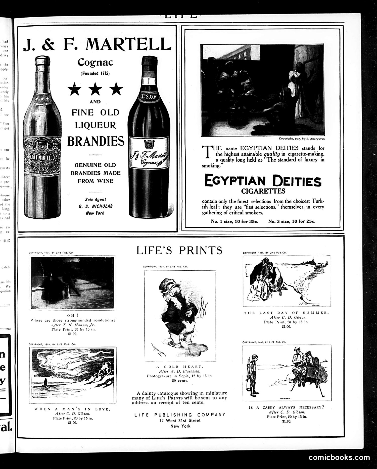 Life — February 22, 1906 — page 19 of 24