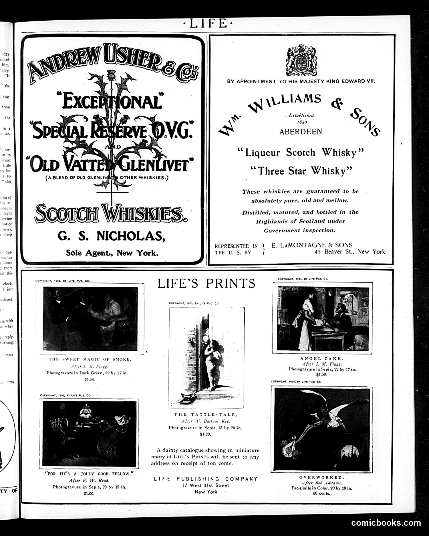 Life — March 1, 1906 — page 31 of 46