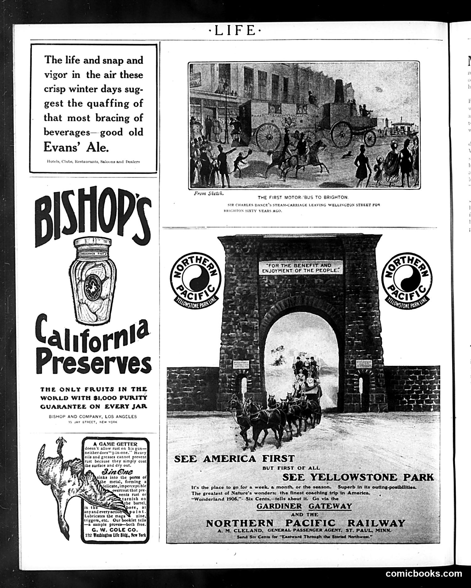 Life — March 1, 1906 — page 40 of 46
