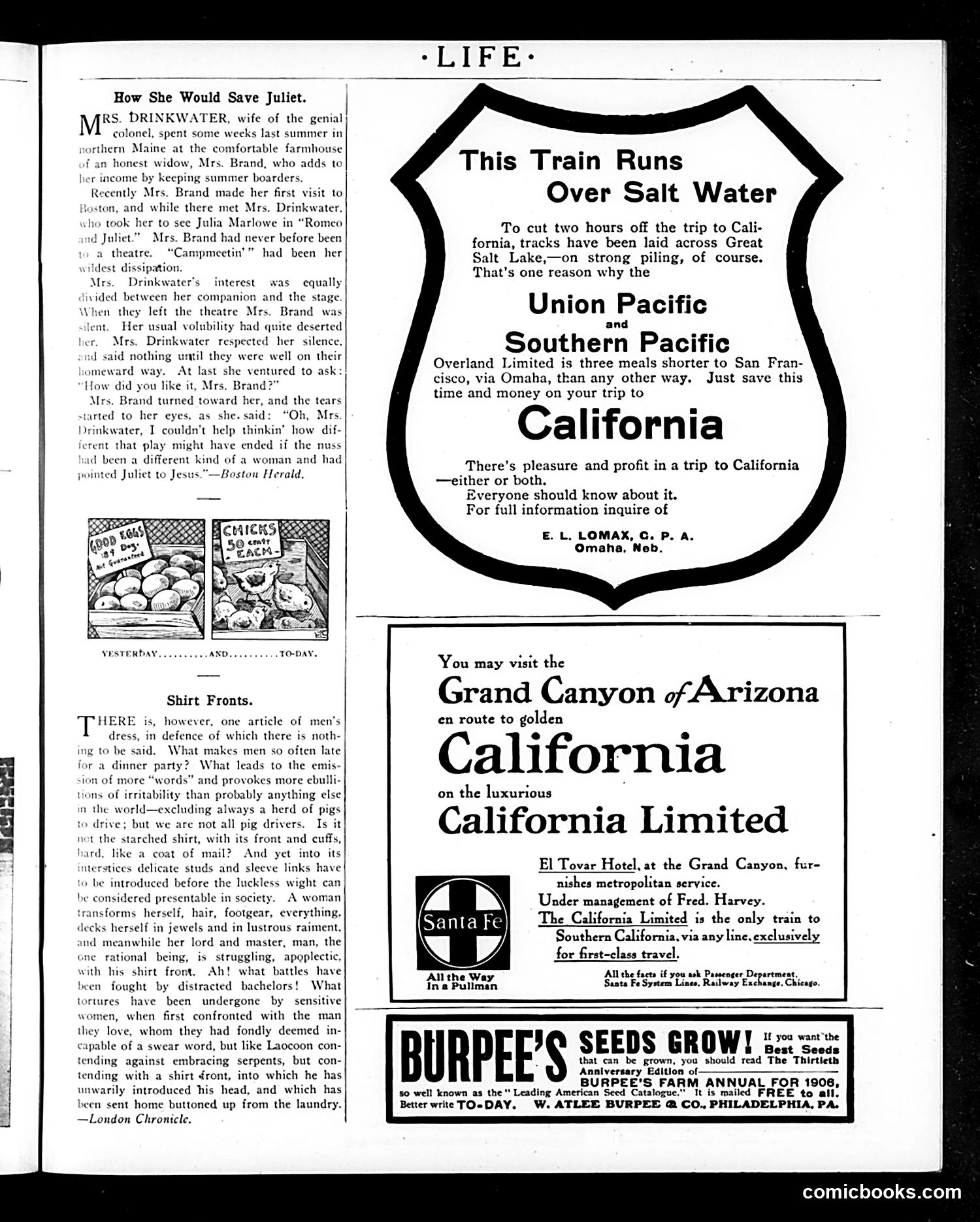 Life — March 1, 1906 — page 41 of 46