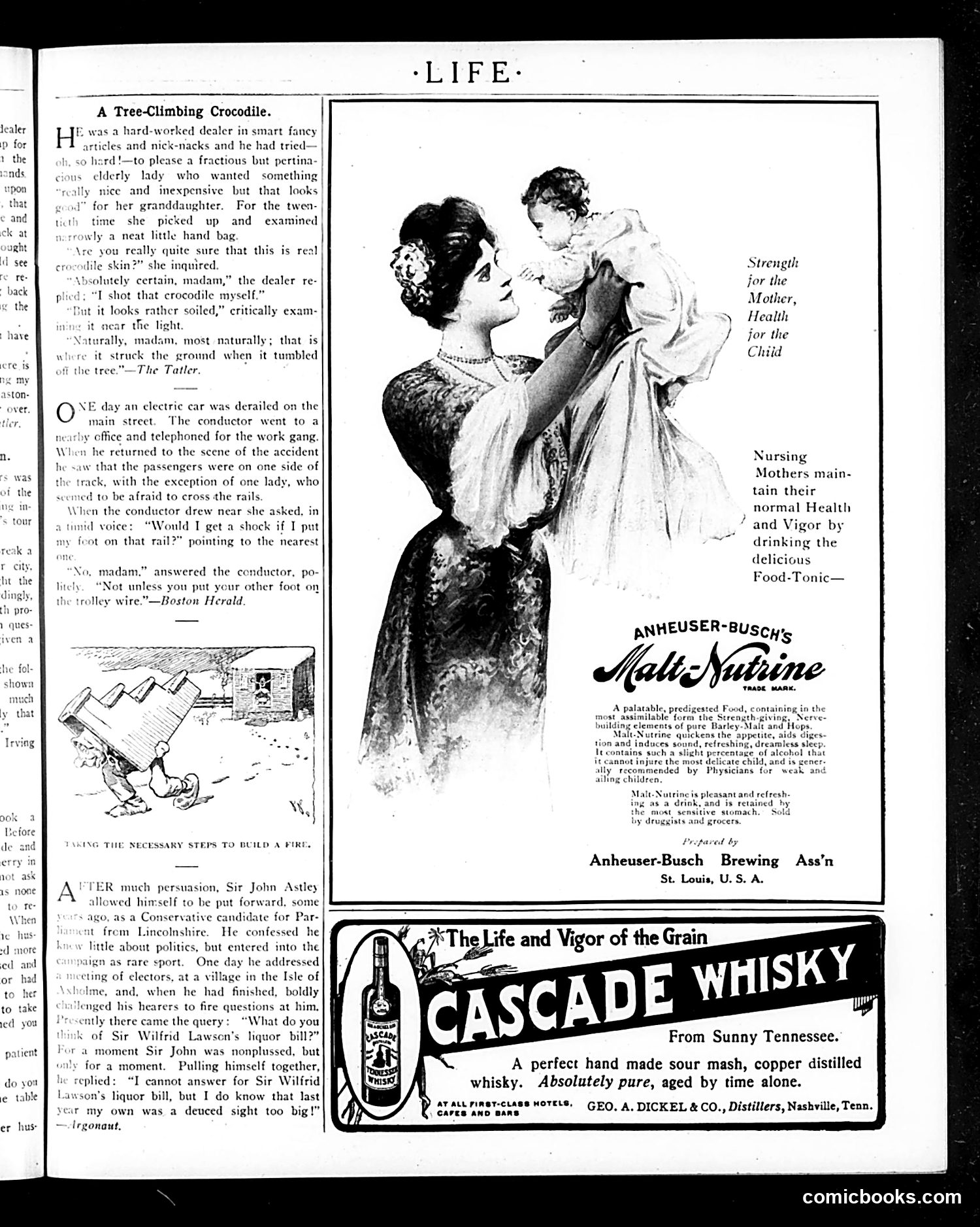 Life — March 1, 1906 — page 43 of 46